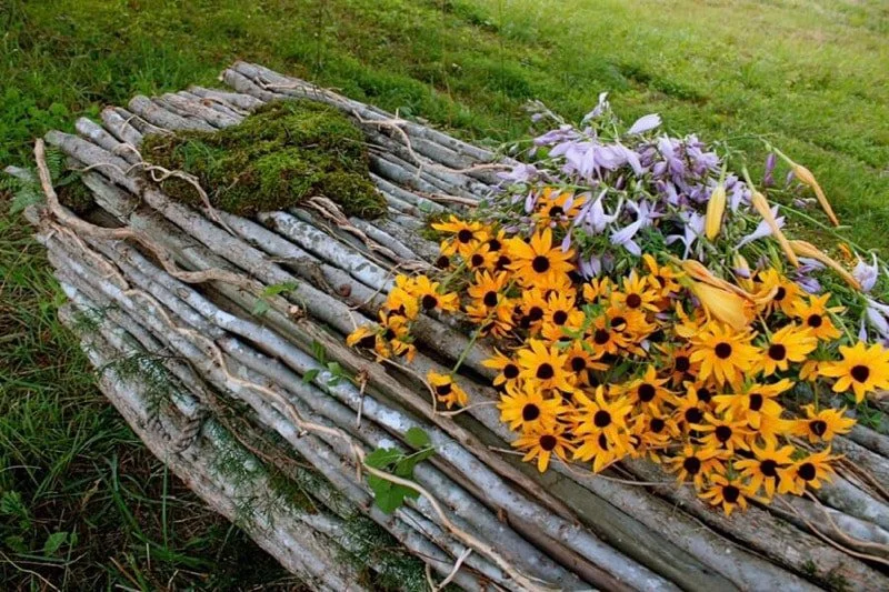 Larkspur Conservation at Taylor Hollow, Nashville, TN