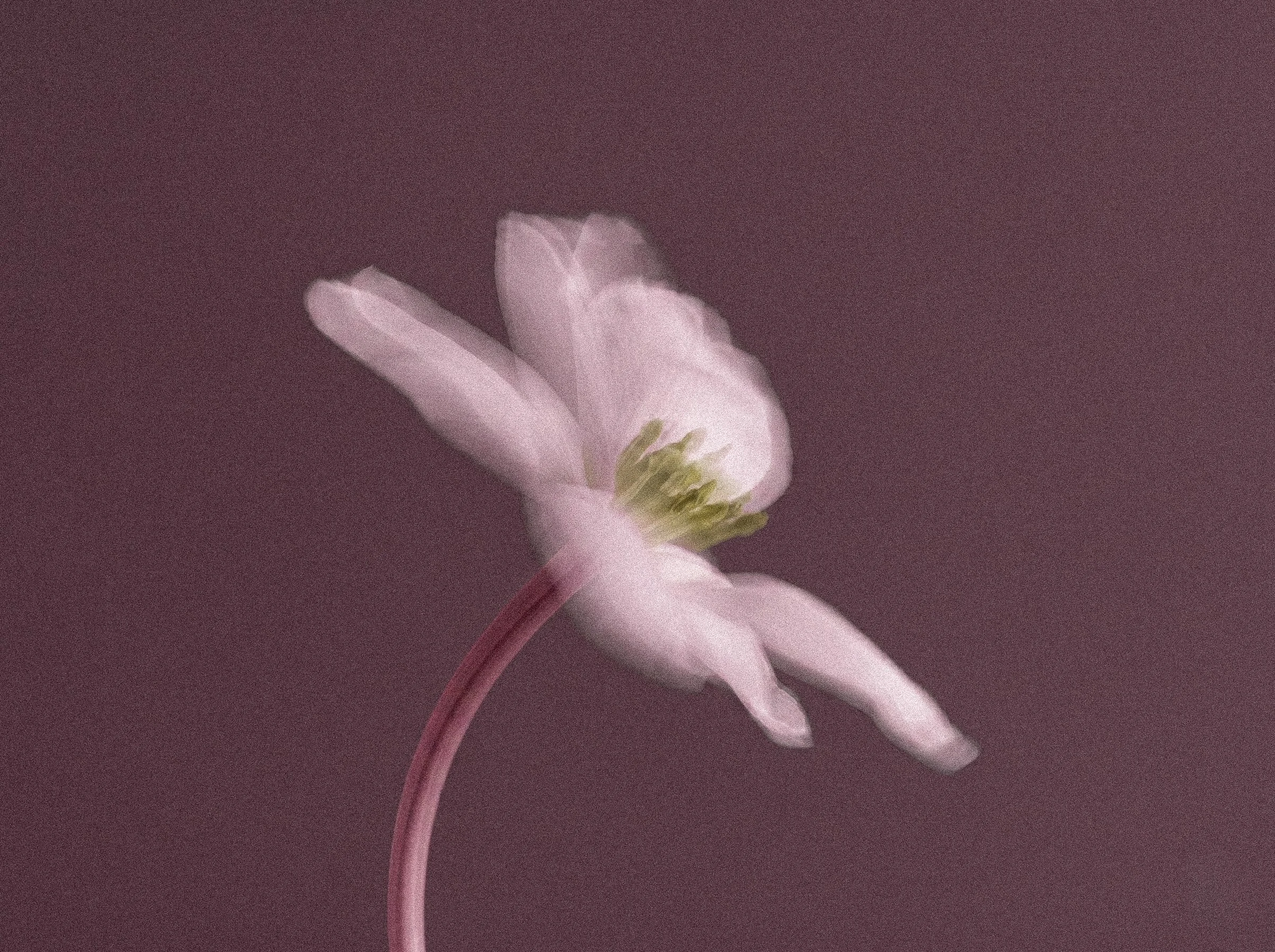 LaromeLab - Aroma Textura 2-2.jpg