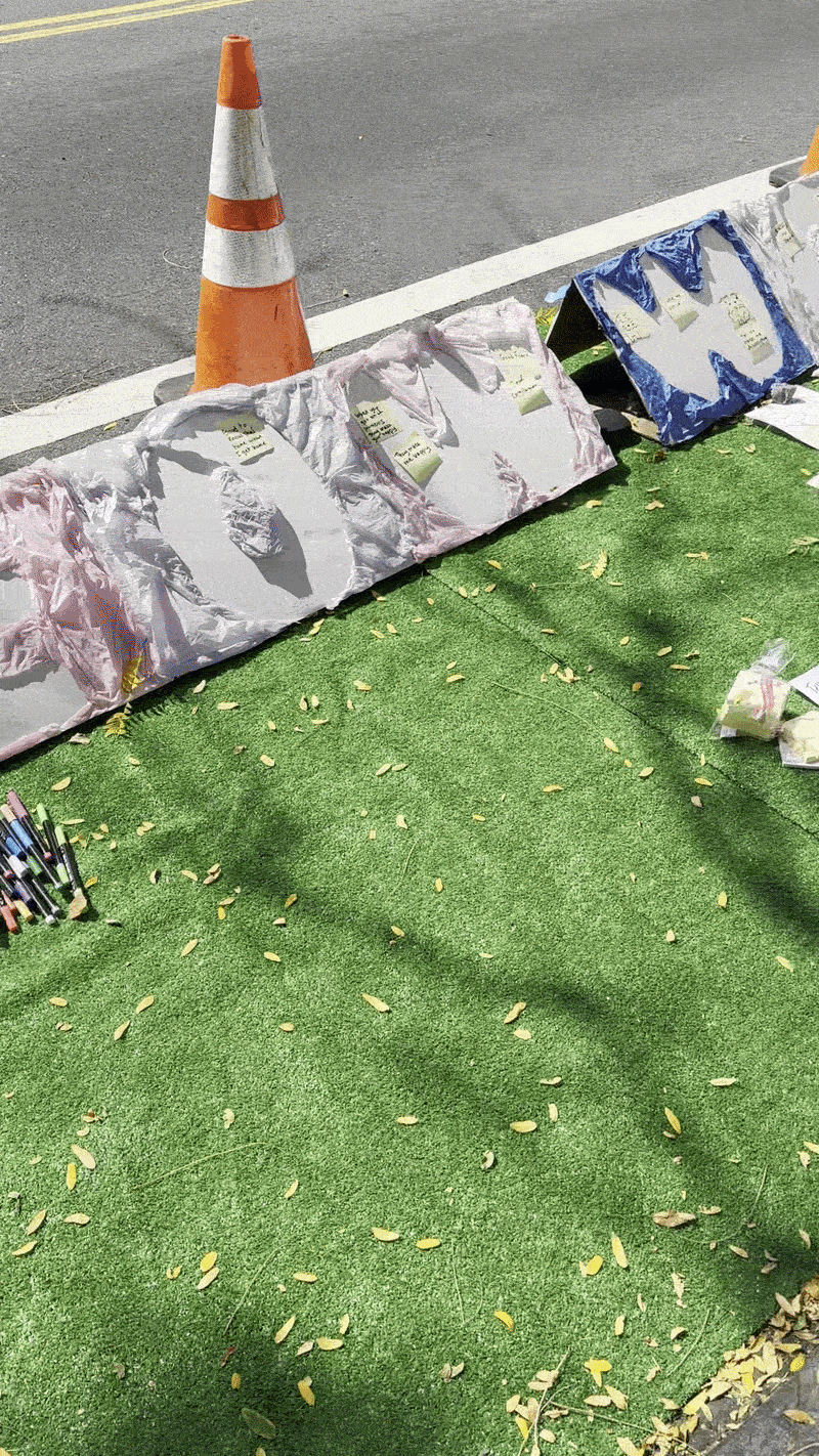 Community Development & Placemaking