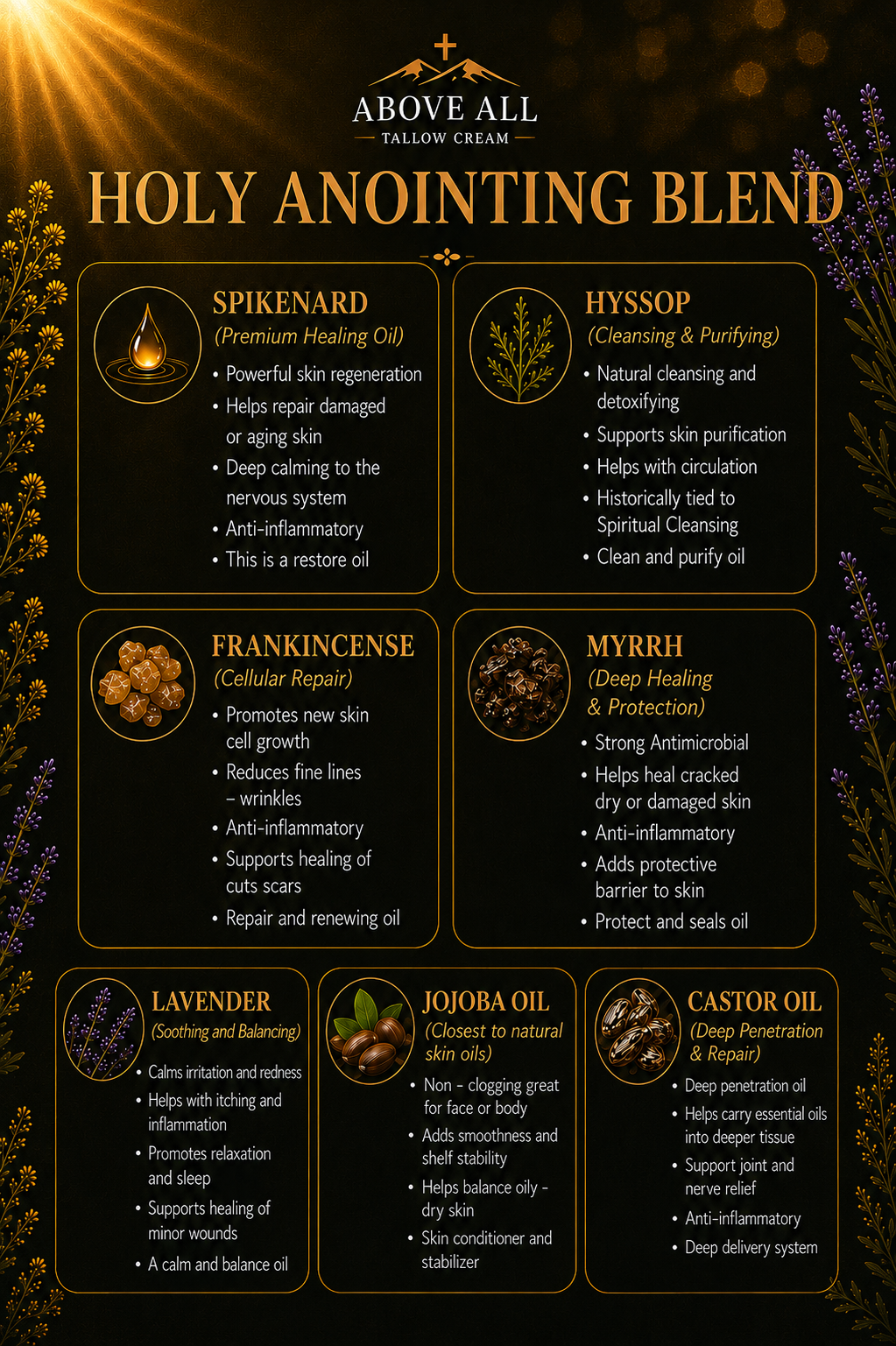 AEB56316-C6E1-4F72-B8EB-861EE95B7332.PNG