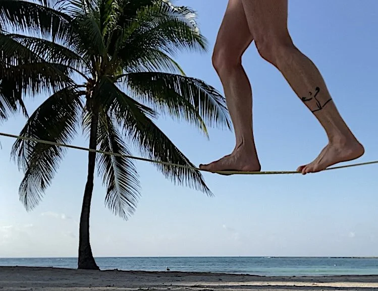 Close-up of a Rae Raptor walking on a slackline strung between two palm trees on a beach, with the ocean and a blue sky in the background.