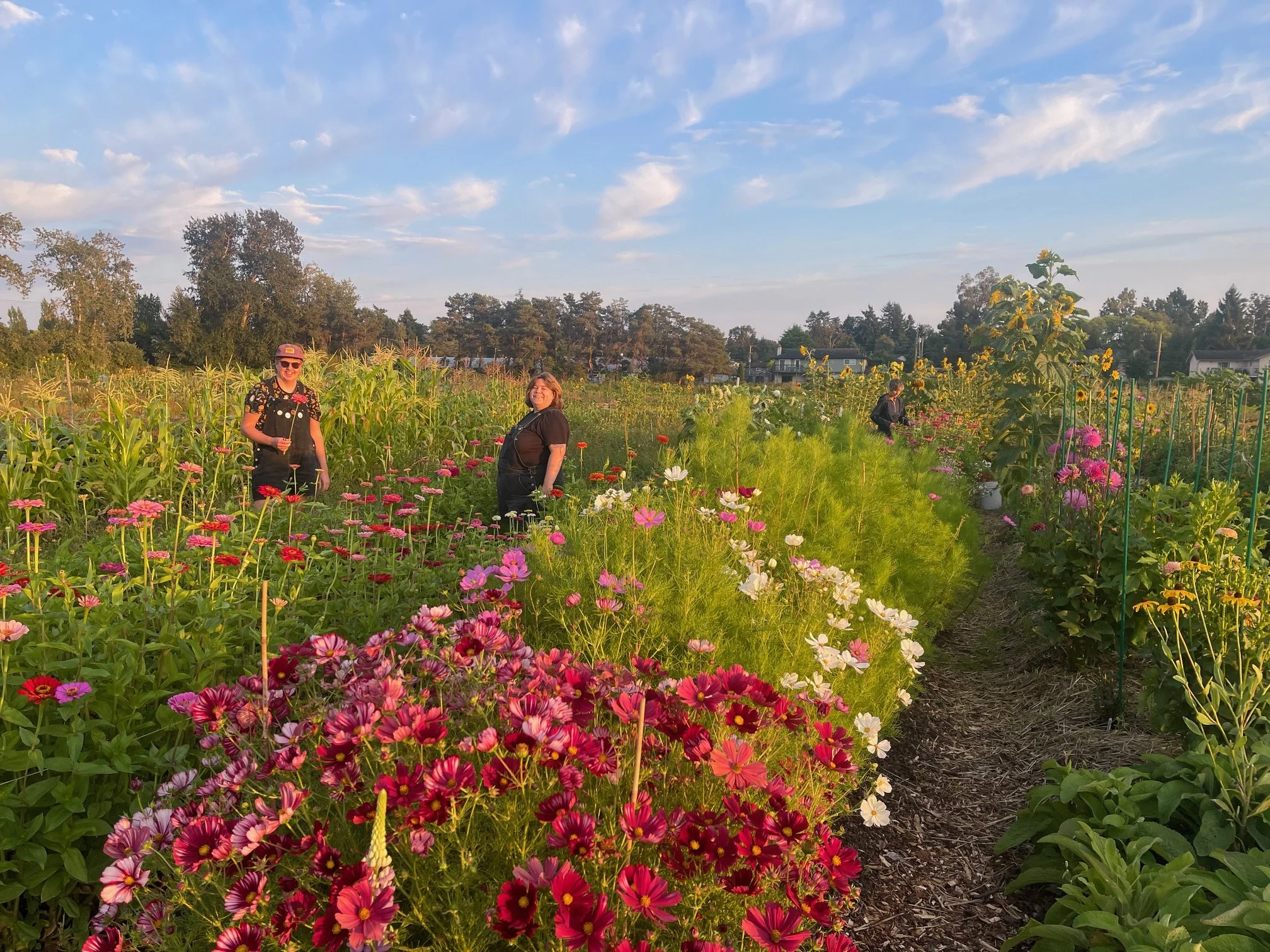 Two women standing in a vibrant flower garden with a path running through it, under a partly cloudy sky.