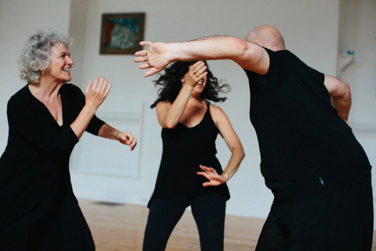 Hudson Valley 5Rhythms with Peter, Stephanie or Angelina