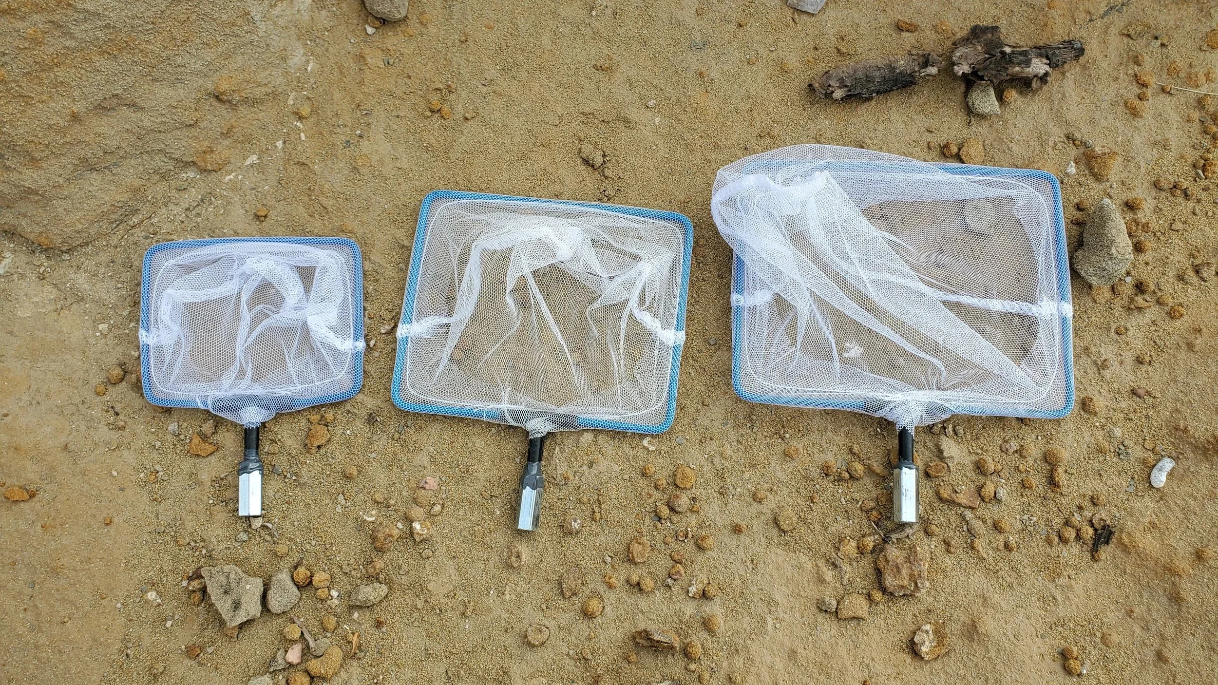 Wandering Net - Water Edition