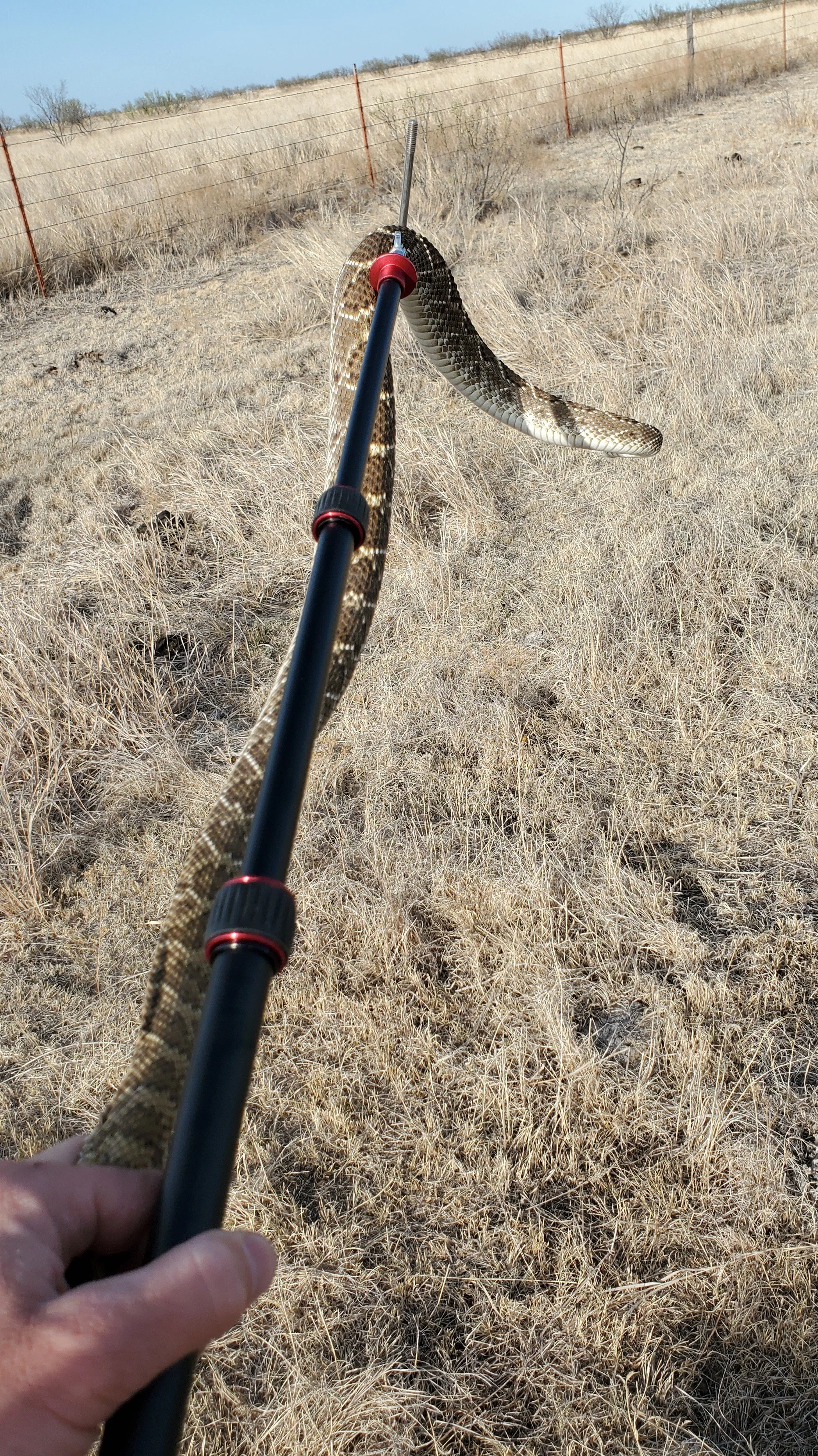 20260409_183535.jpg
