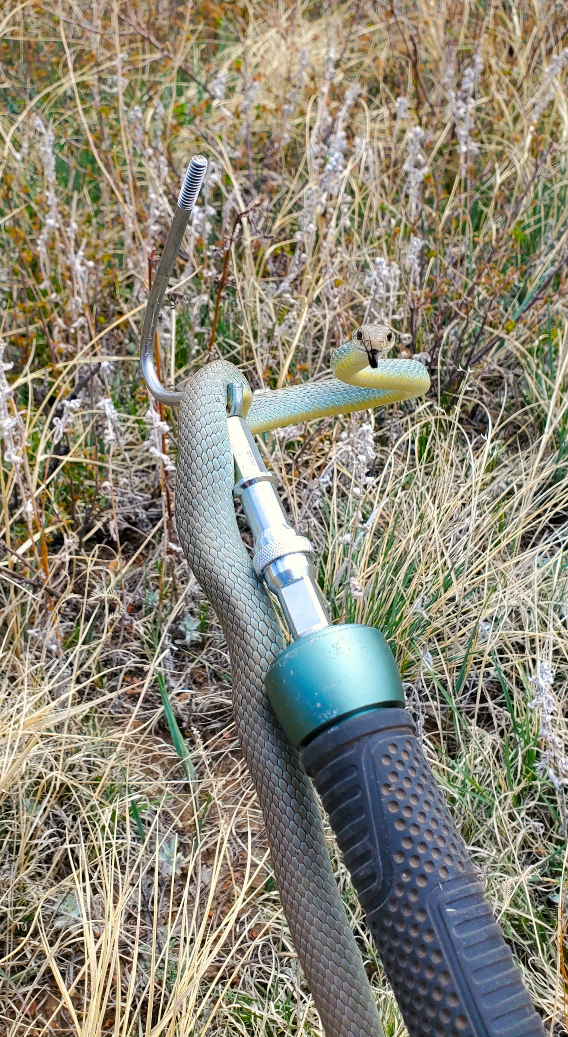 20260514_111441.jpg