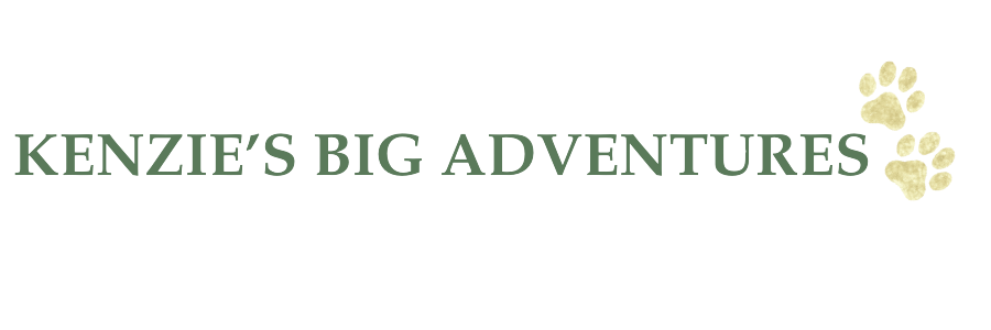  Kenzie's Big Adventures