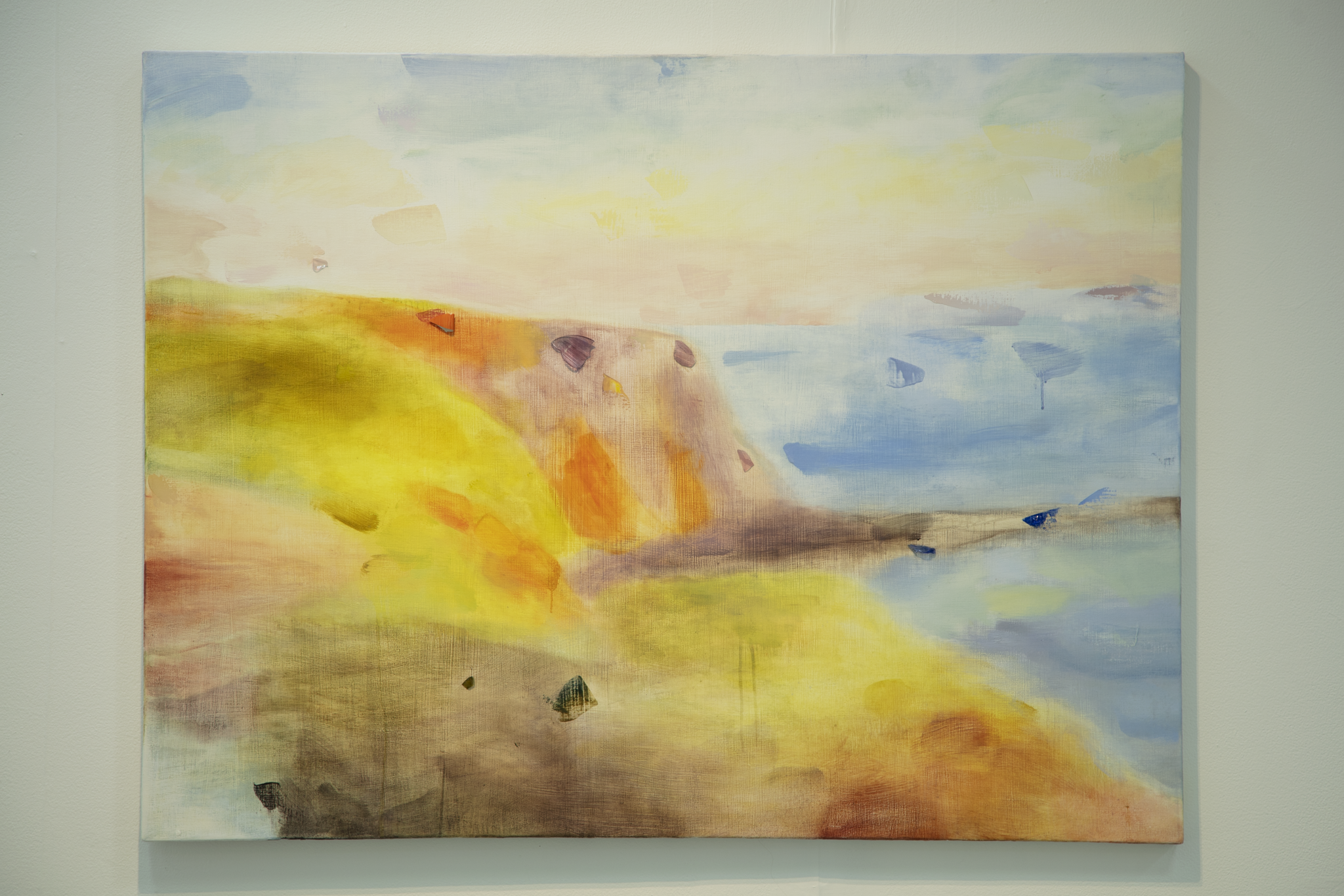 Polluted Pink Sky, 2025, mixed media on canvas, 39 x 51.5 inches 