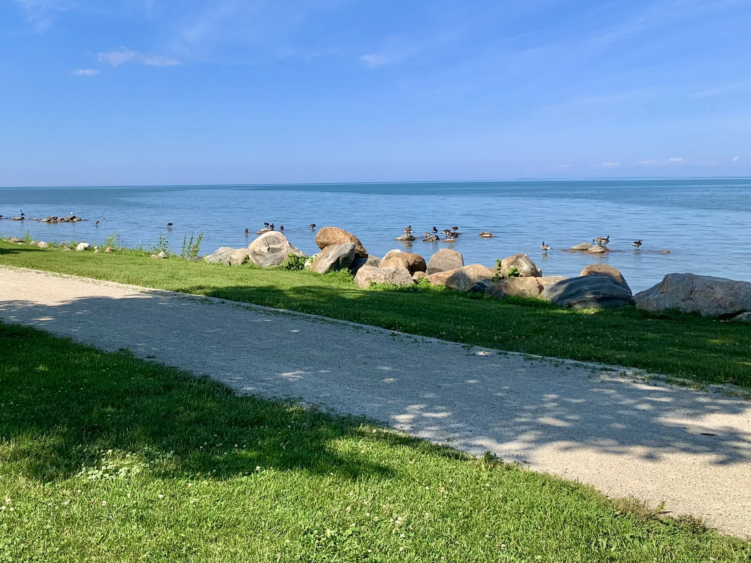 A lakeside scene with a grassy area, rocks along the shore, a calm lake, and a blue sky with a few clouds.