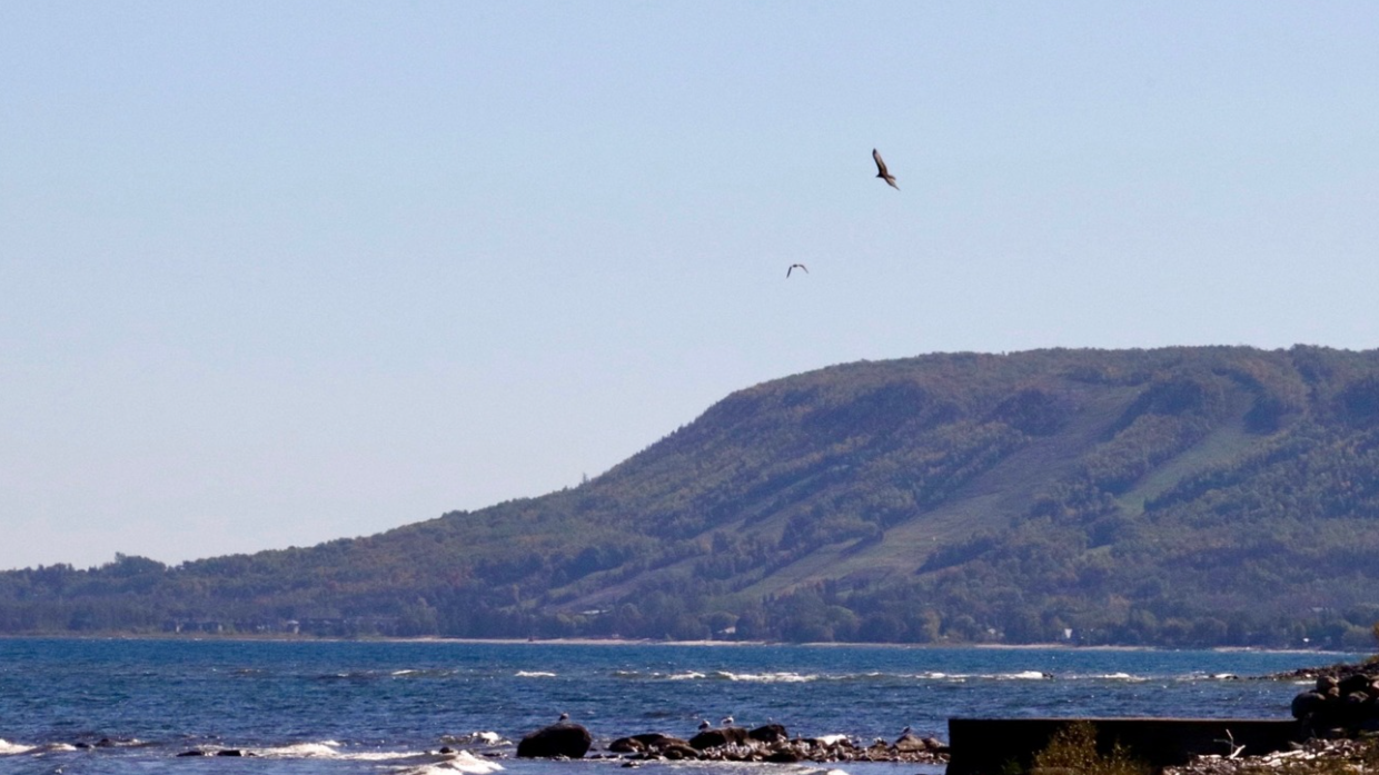 Seaside view with a mountain in the background and three birds flying in the sky over the water.