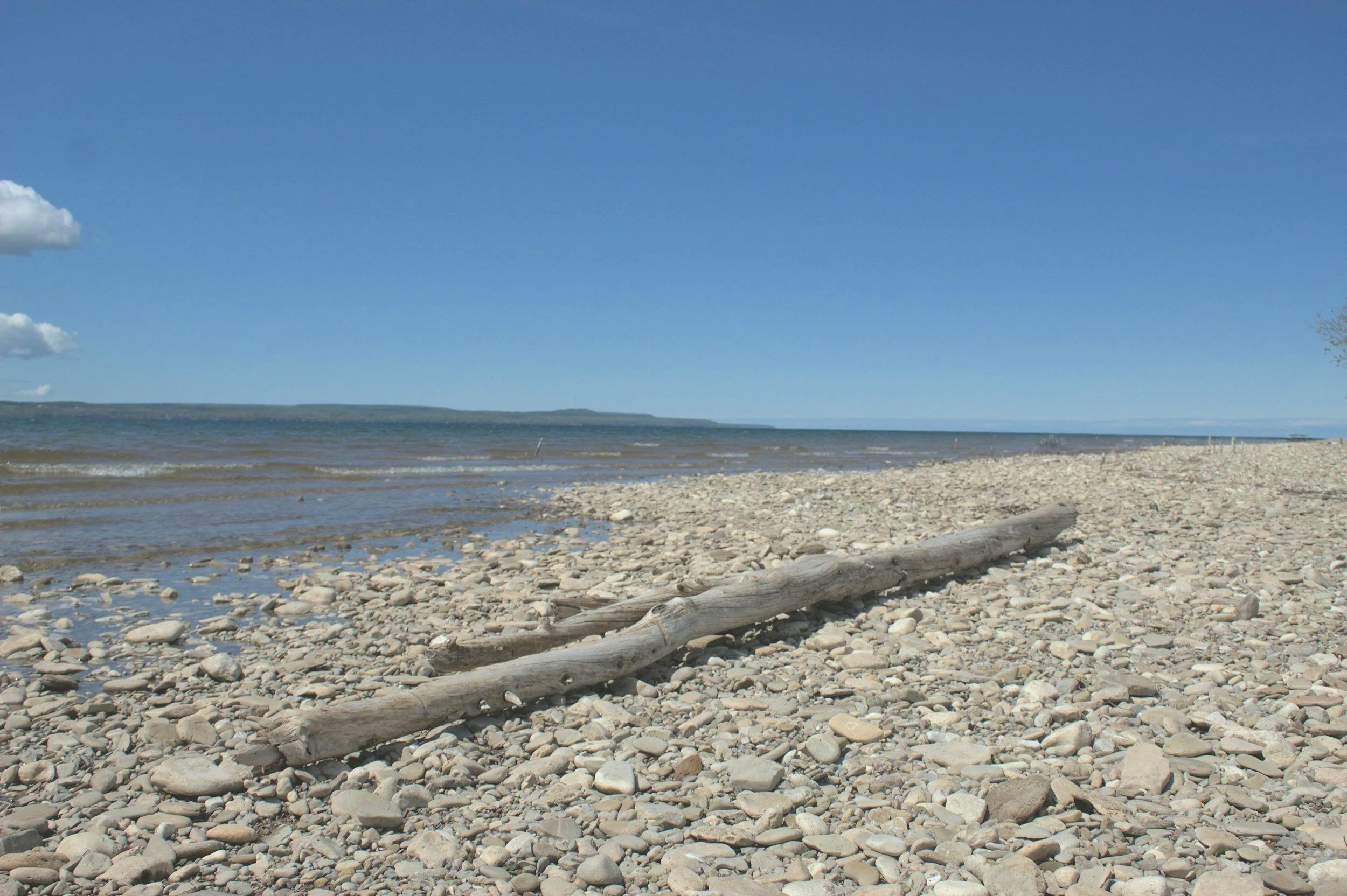 A rocky beach with scattered driftwood, calm water, low horizon, blue sky with a few clouds.