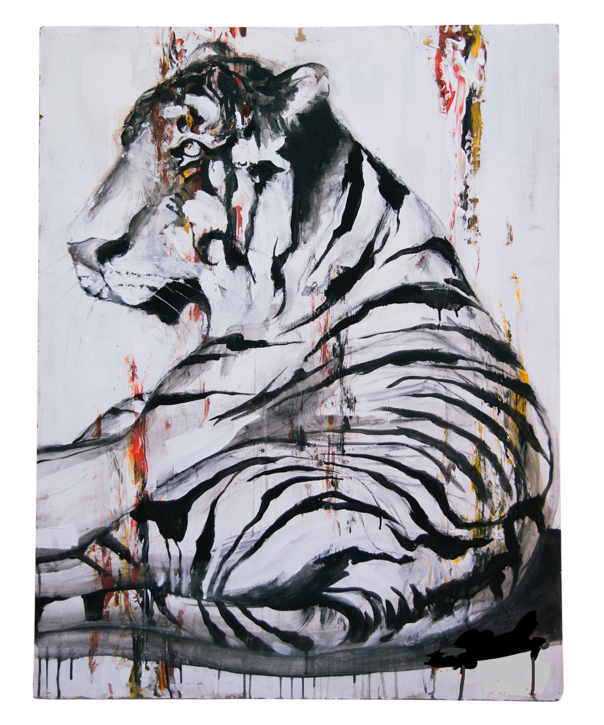 Photoroom_20241227_131011.png