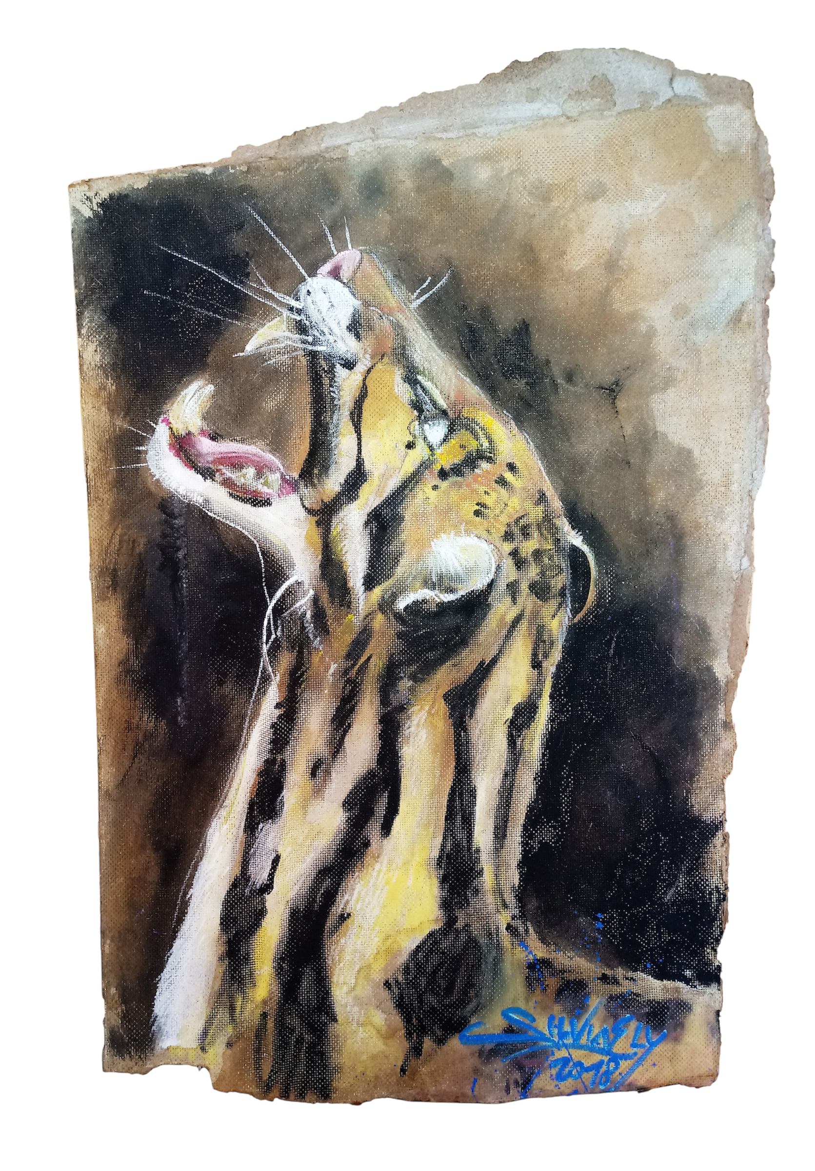 Clouded leopard