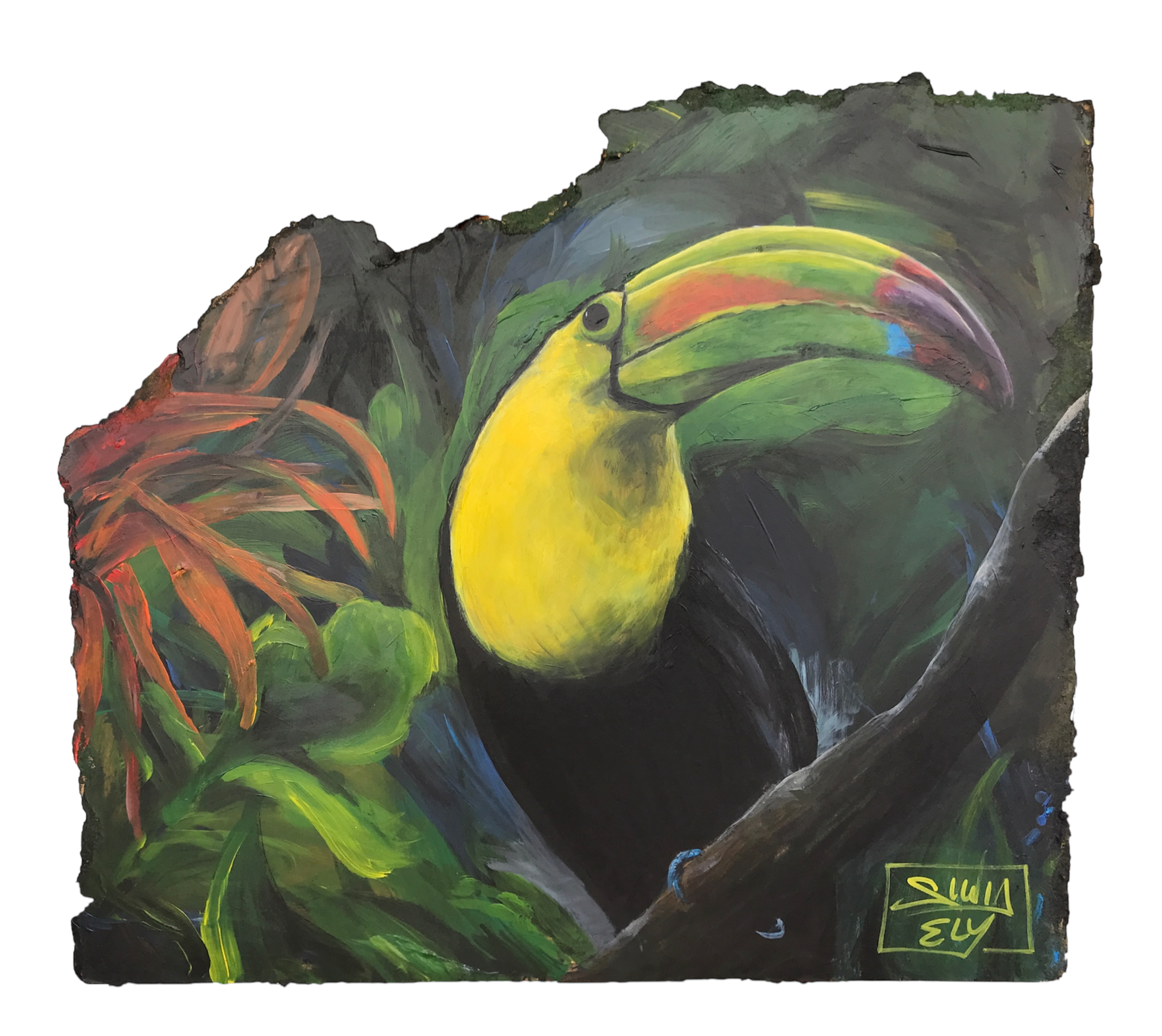 Tucan