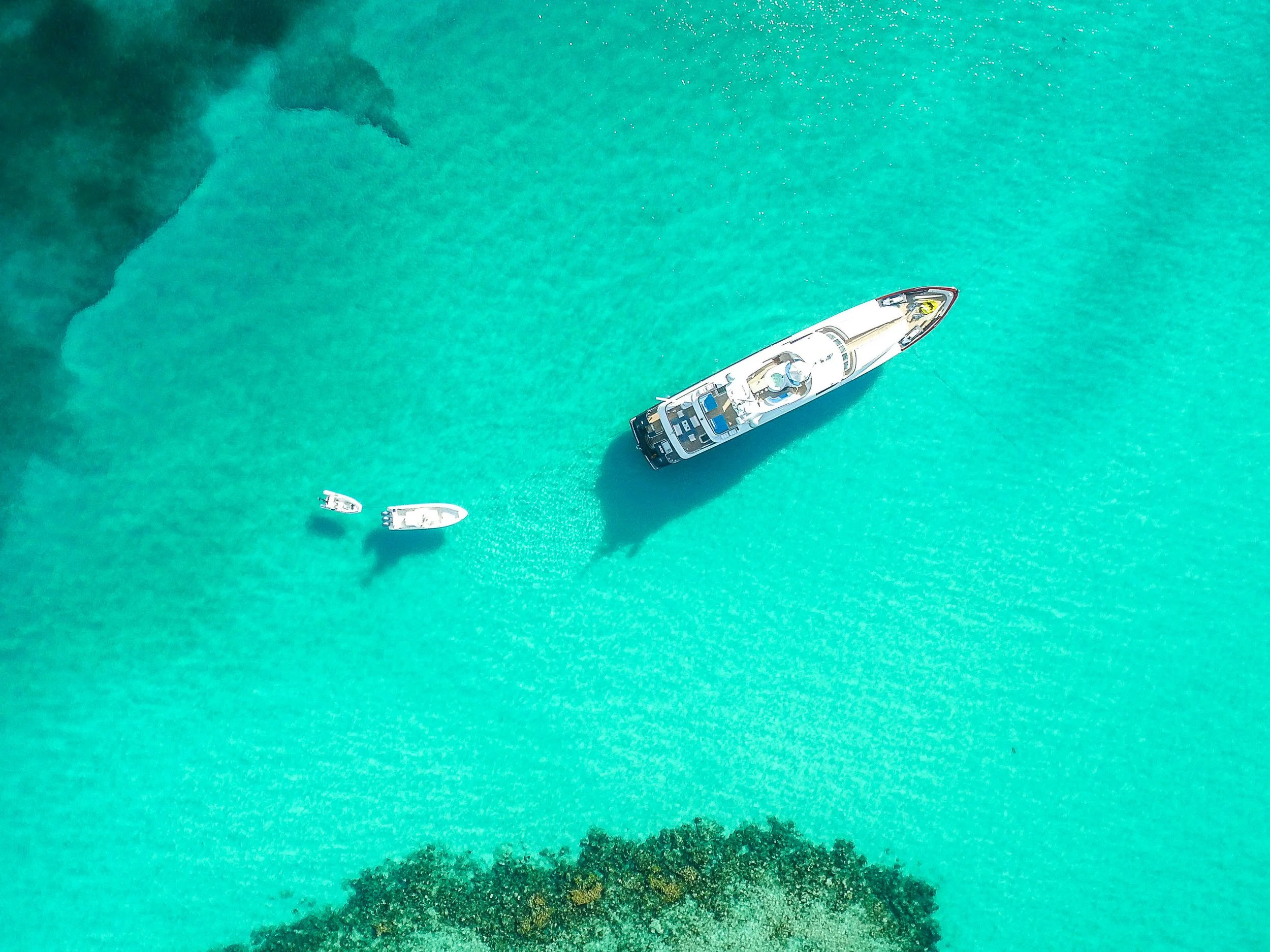 The Expedition Paradox: Navigating Hidden Threats Beyond the Blue Water