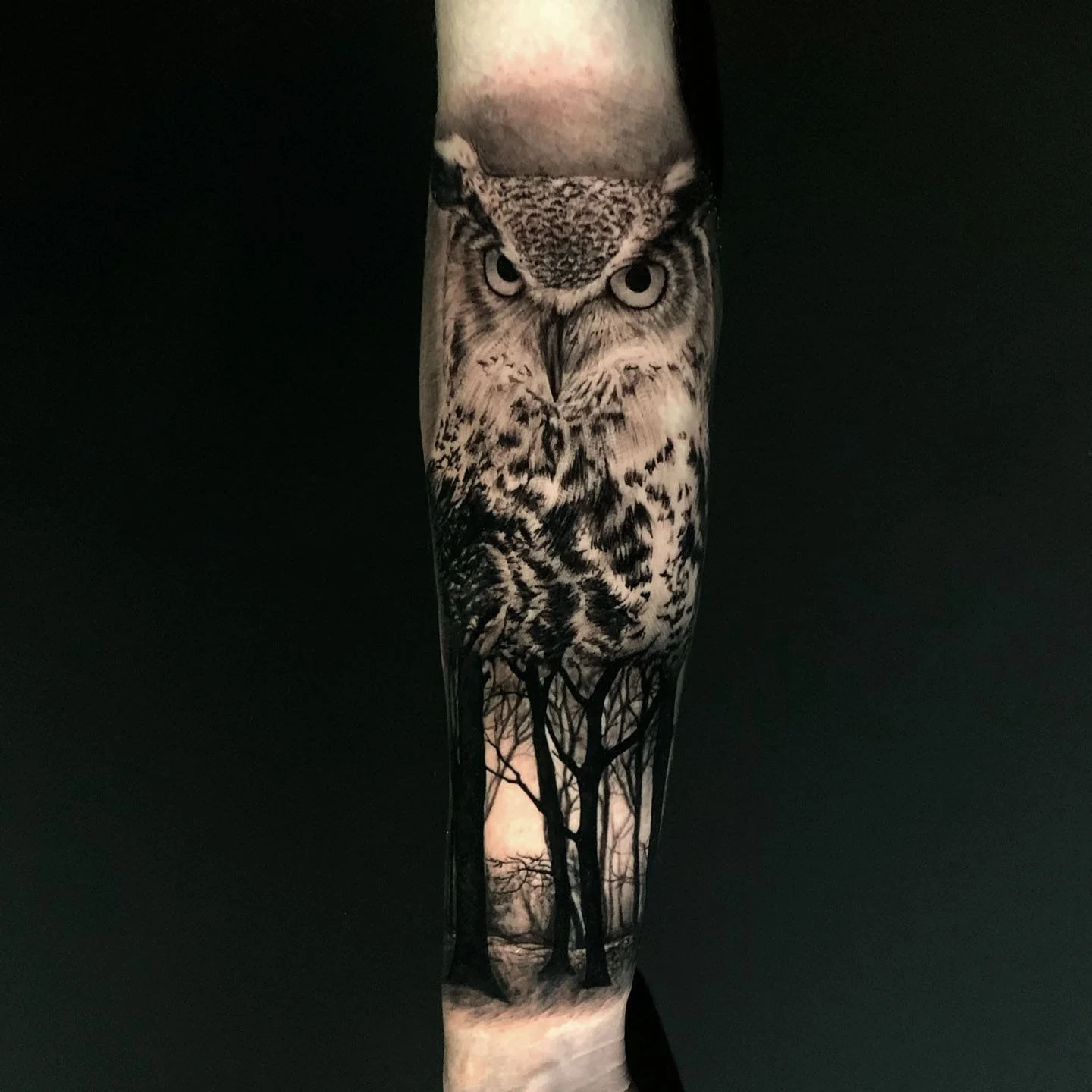 Nighttime photograph of a tall, thin lamp with a detailed black-and-white illustration of an owl on its surface, against a dark background.