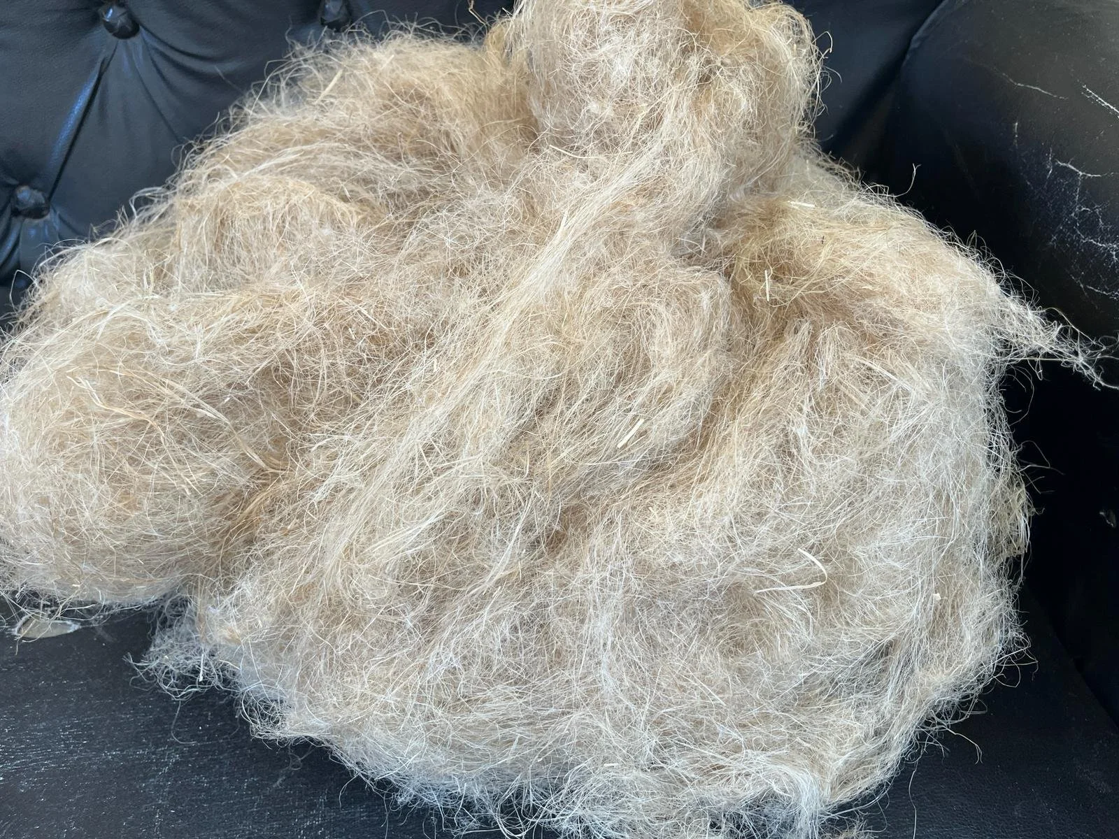 Close-up of disheveled blonde hair on a black surface.