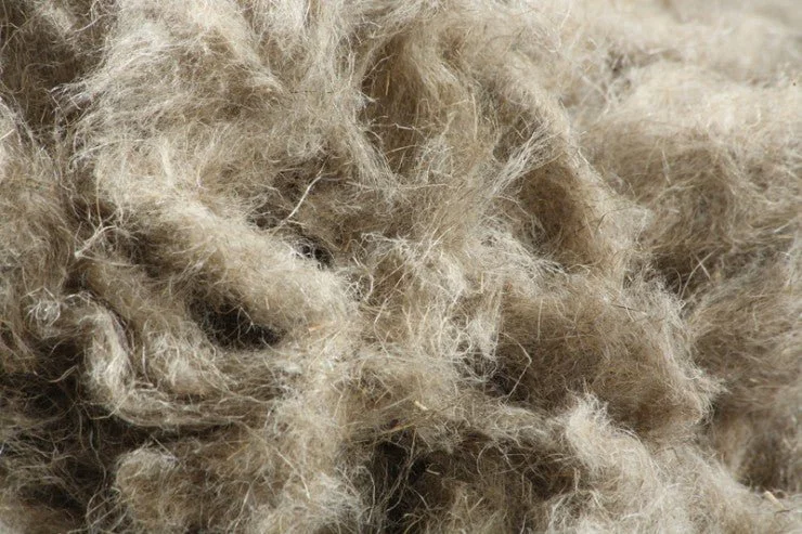 Close-up of a mass of beige, fluffy, fibrous material, possibly wool or felt.
