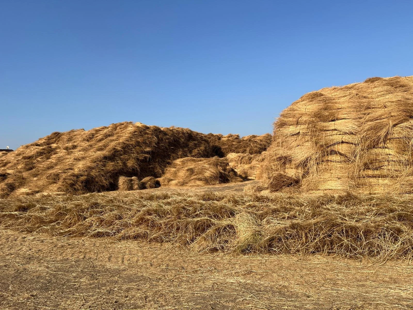 A landscape scene with large hay bales stacked on top of each other under a clear blue sky.