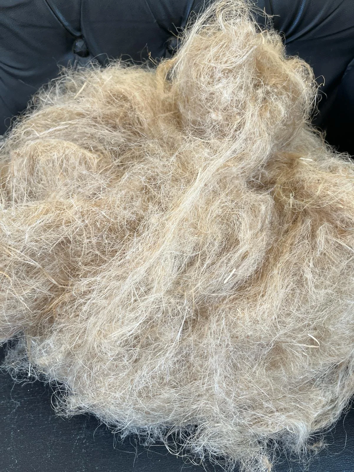 A mass of light blond, curly, and frizzy hair on a black surface.