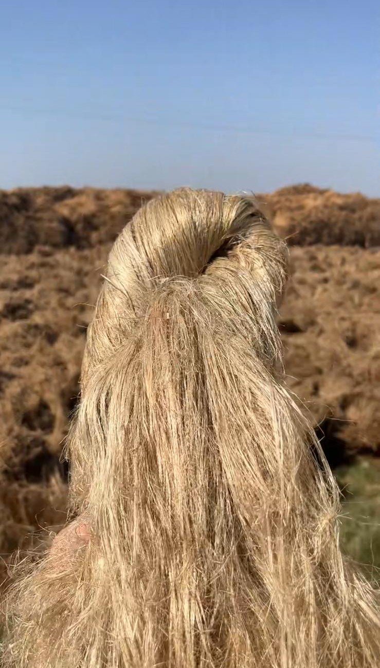 Back view of a person with long blonde hair styled in a twist, standing outdoors in a dry, hilly landscape under a blue sky.