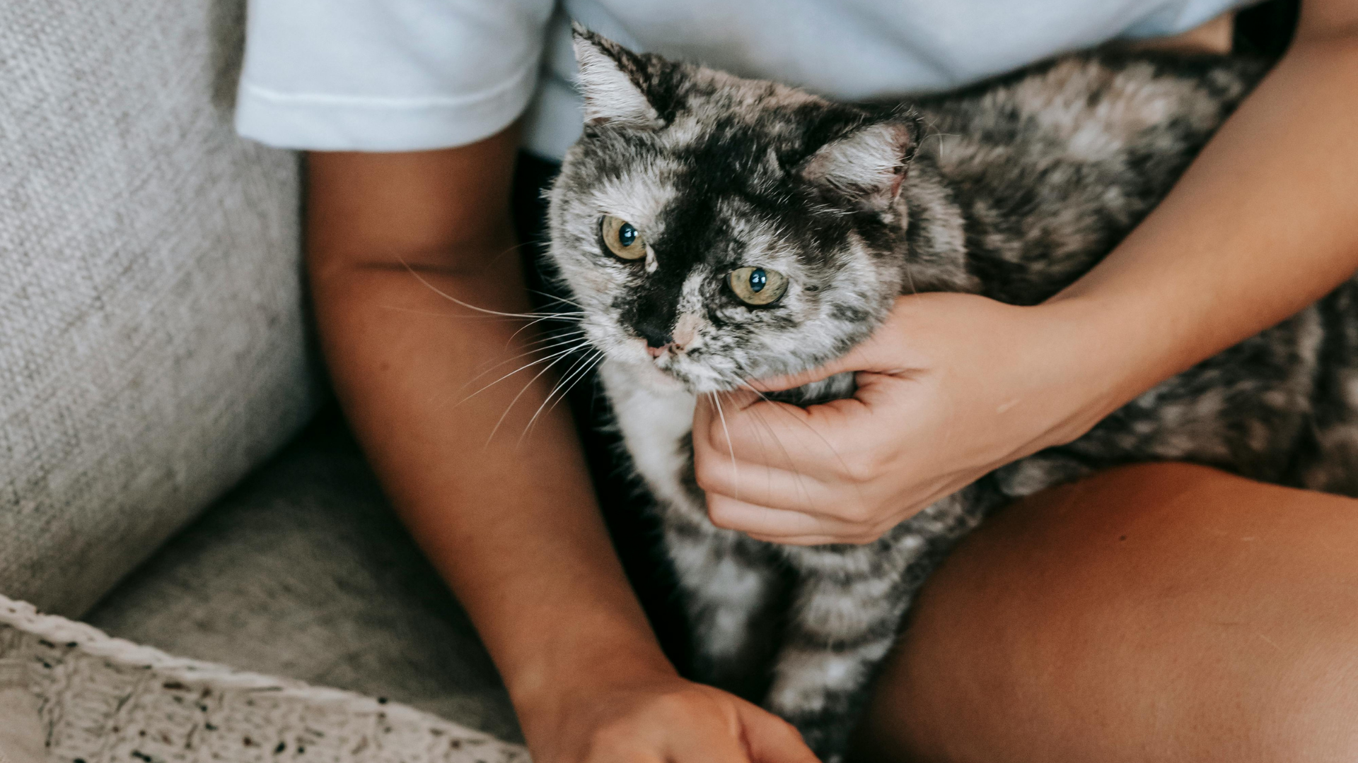 Convert Listeners to Leads: Optimizing Your Podcast for Authentic Connections
