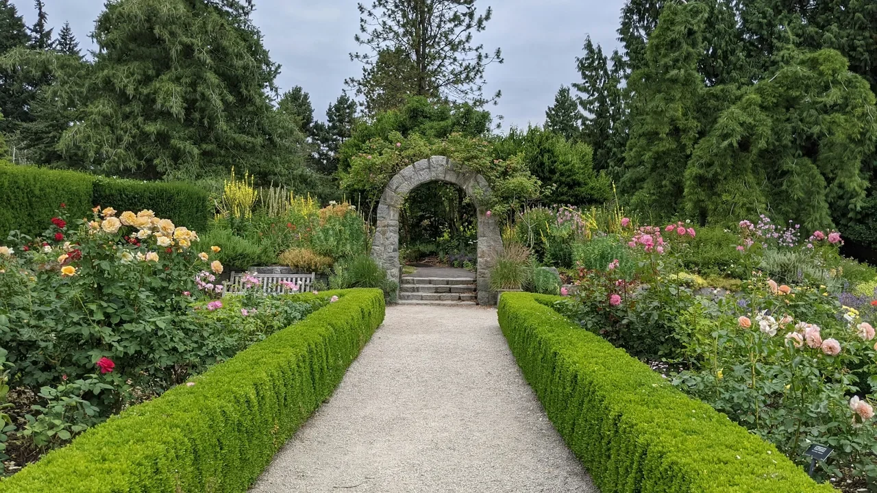 Manicured rose garden with a stone archway, boxwood    hedges, and a wooden bench, a serene garden venue for a celebration of life