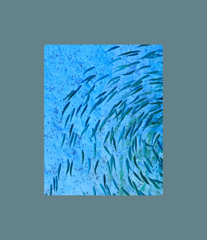 Monterey Bay Climate Adaptation Action Network