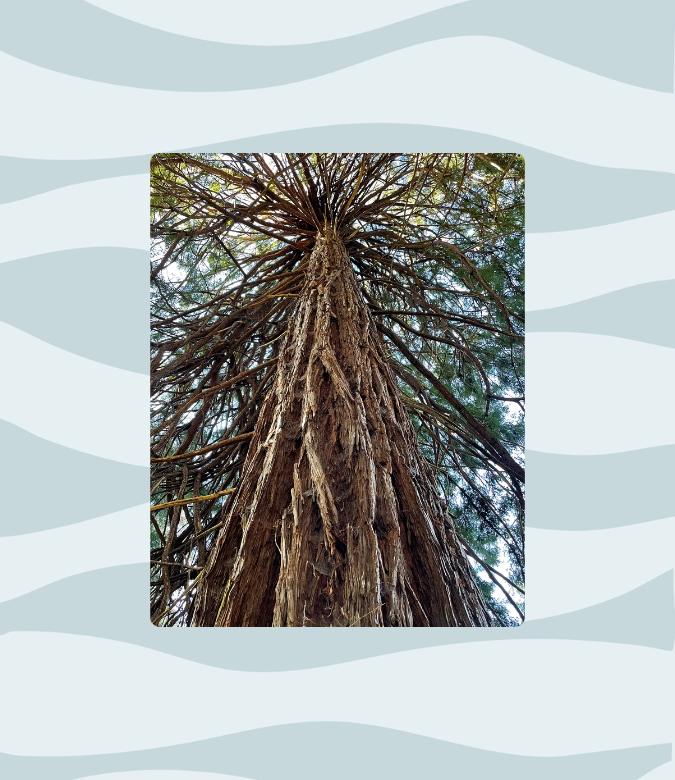 California Council of Land Trusts Speaker Series
