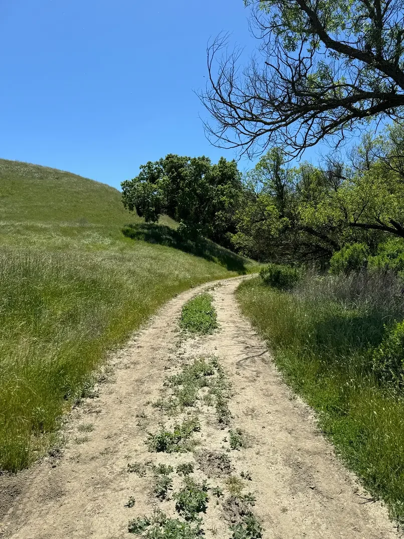 cfrr-grassland-trail-coastal-hills.webp
