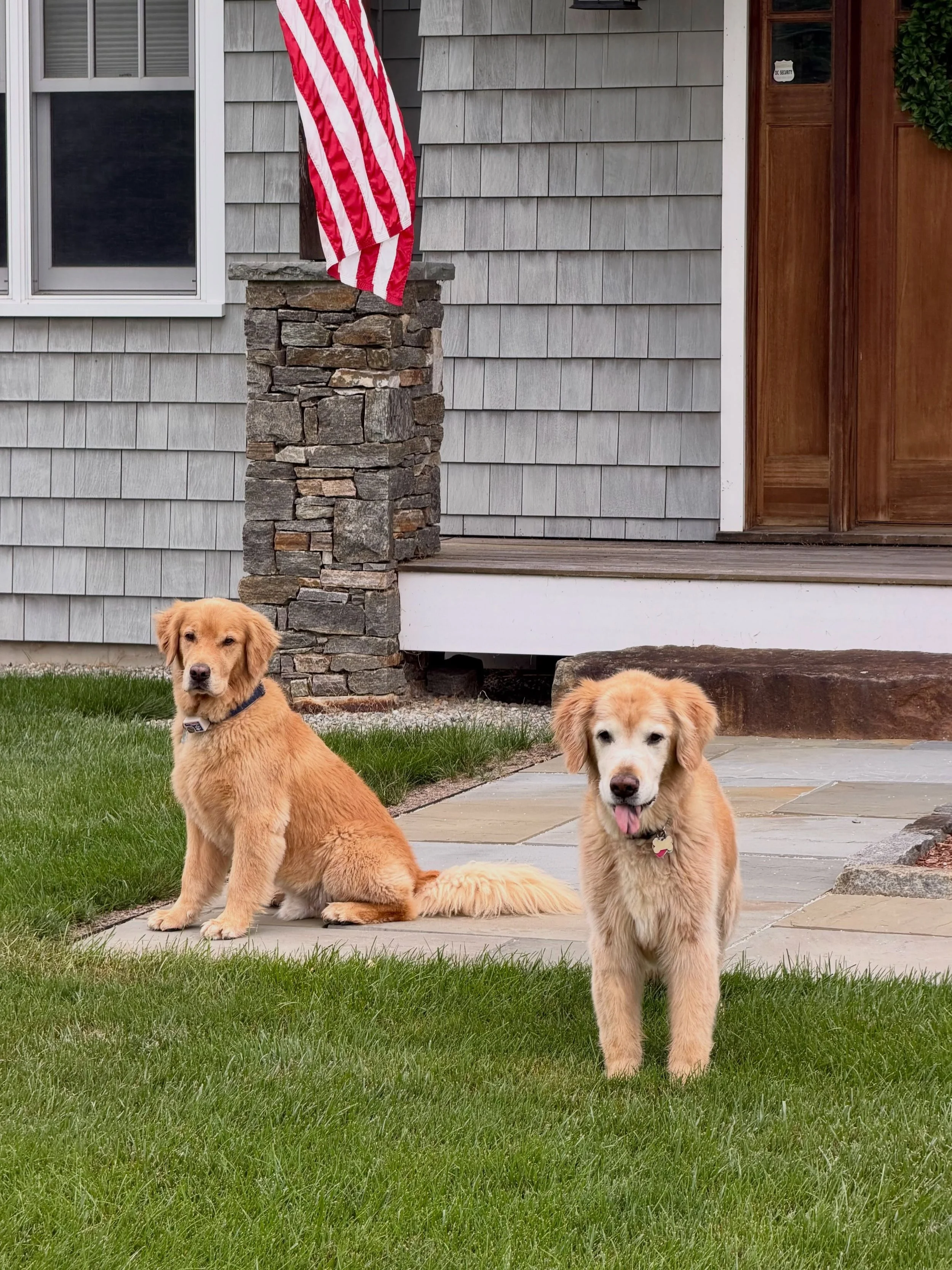 Casey &amp; Oakley wanted to remind you to vote! 🐶🇺🇸🐶