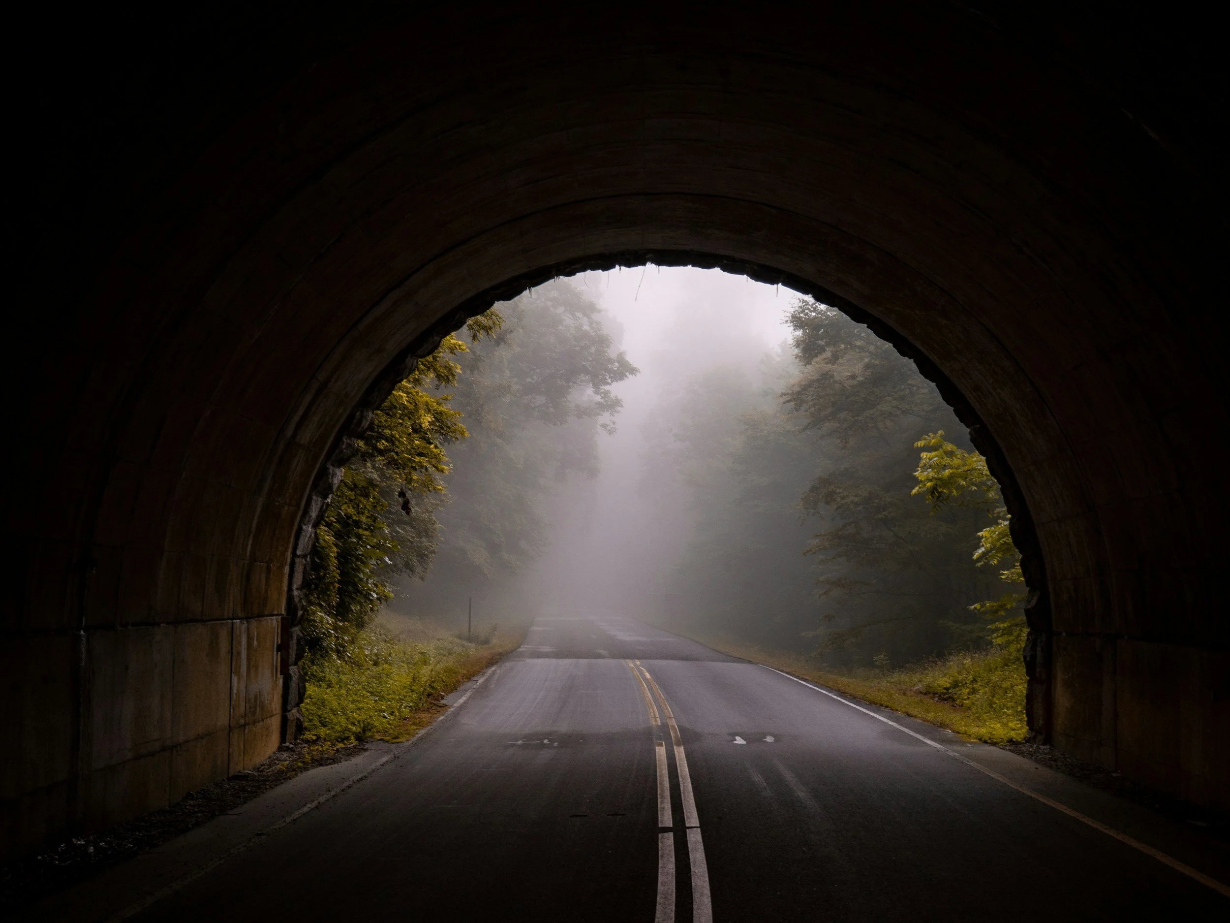 View from inside a tunnel looking out onto a foggy forested roadway with misty trees in the distance.