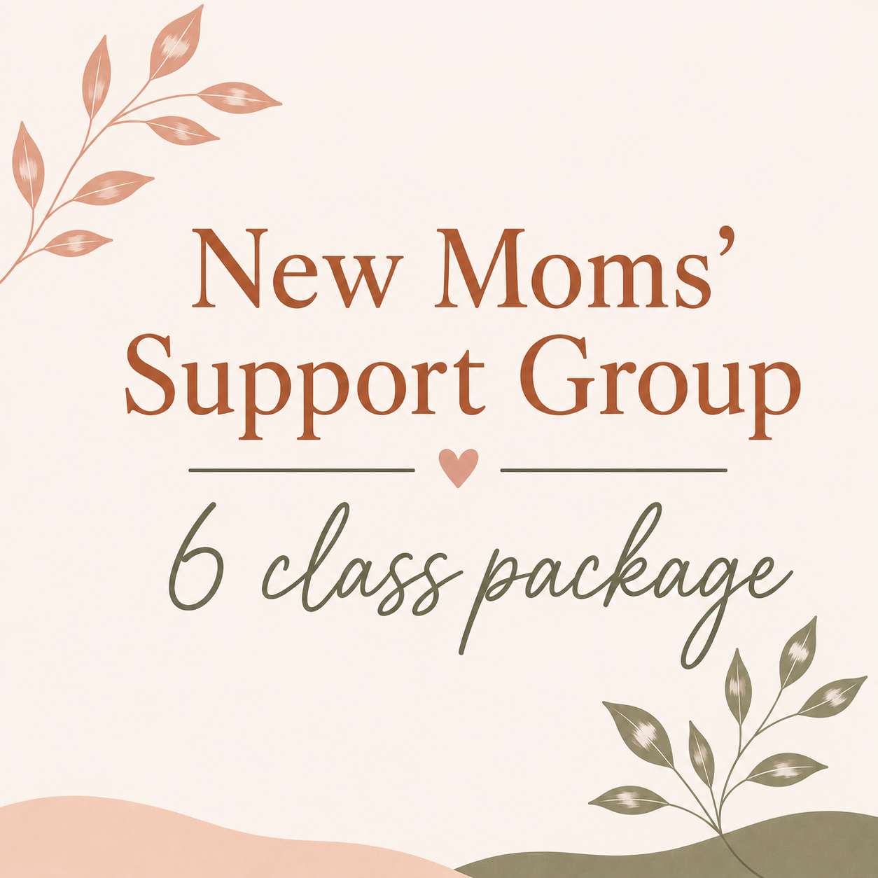 New Moms' Support Group 6 class package