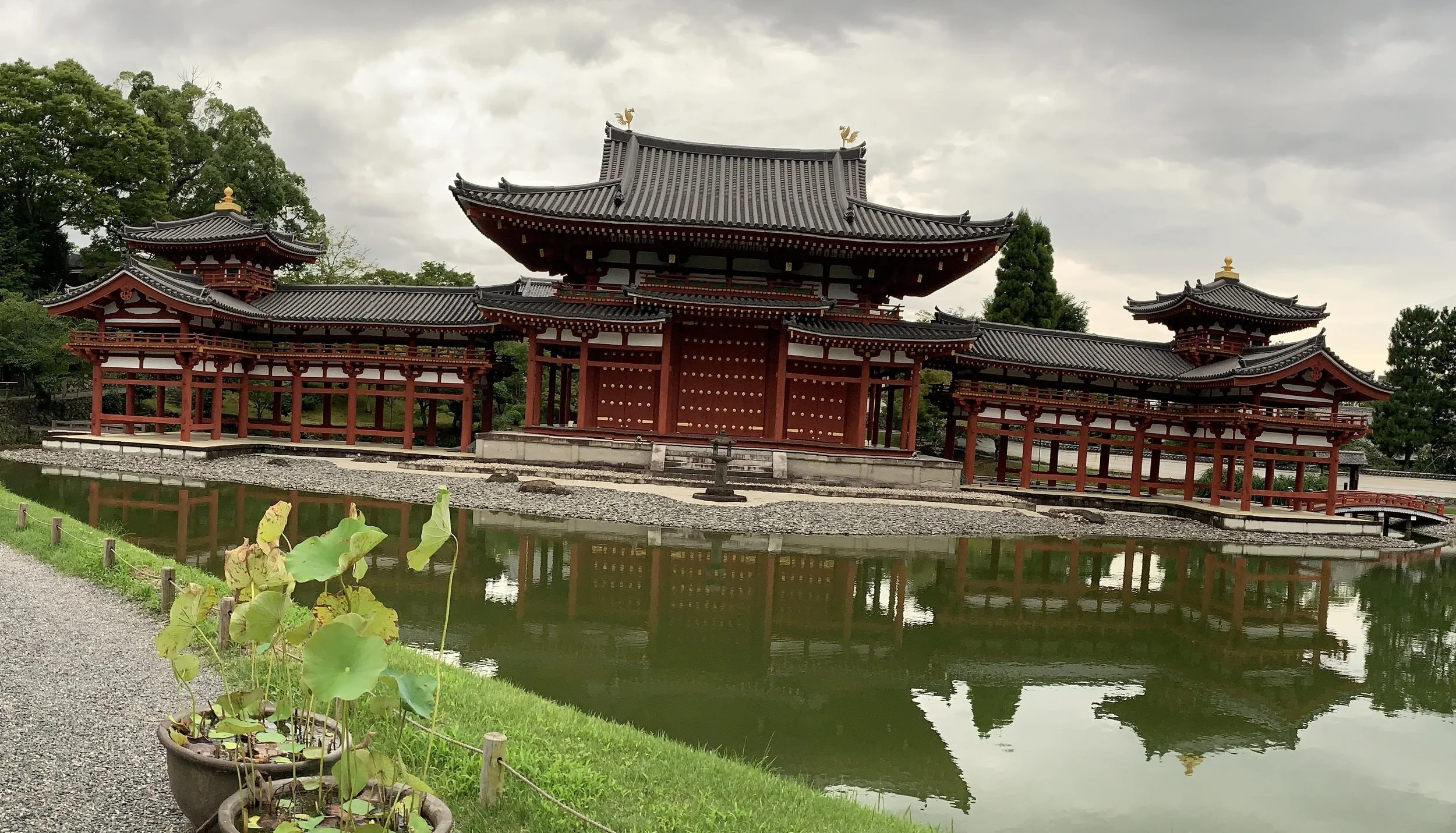 Red Shrine building reflected in a green lake in front and 2 lotus plant in the fore ground. Shrine is Byodo-in in Uji, Japan also the same shrine on the 10 yen coin.