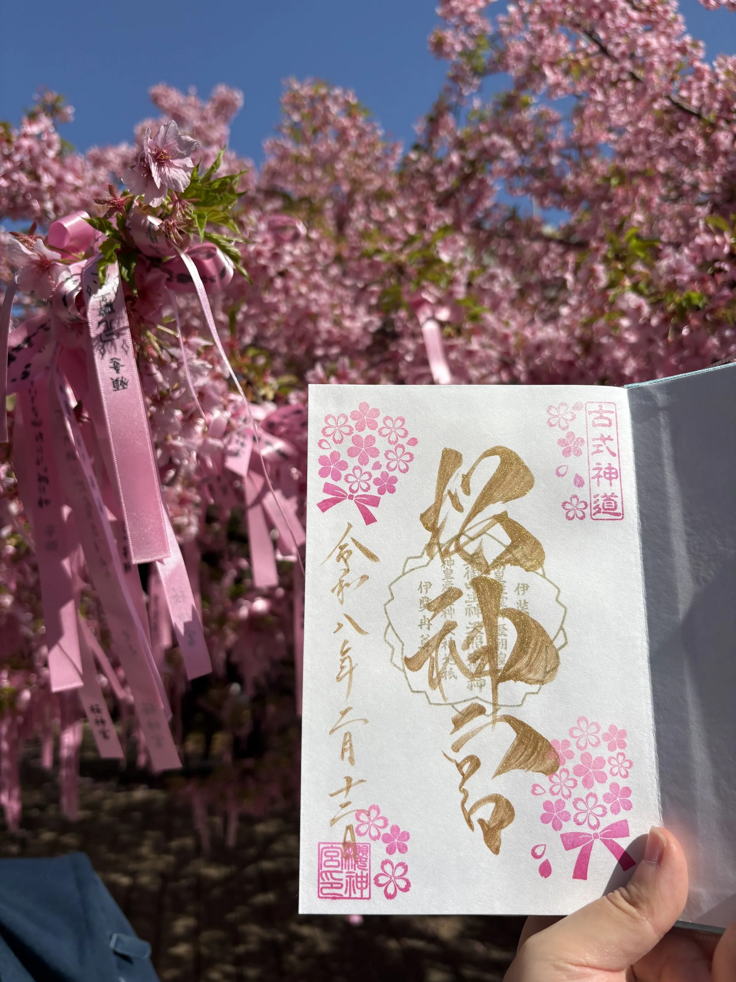 Tokyo’s Early Bloom: Where to See Sakura in Mid-March 2026