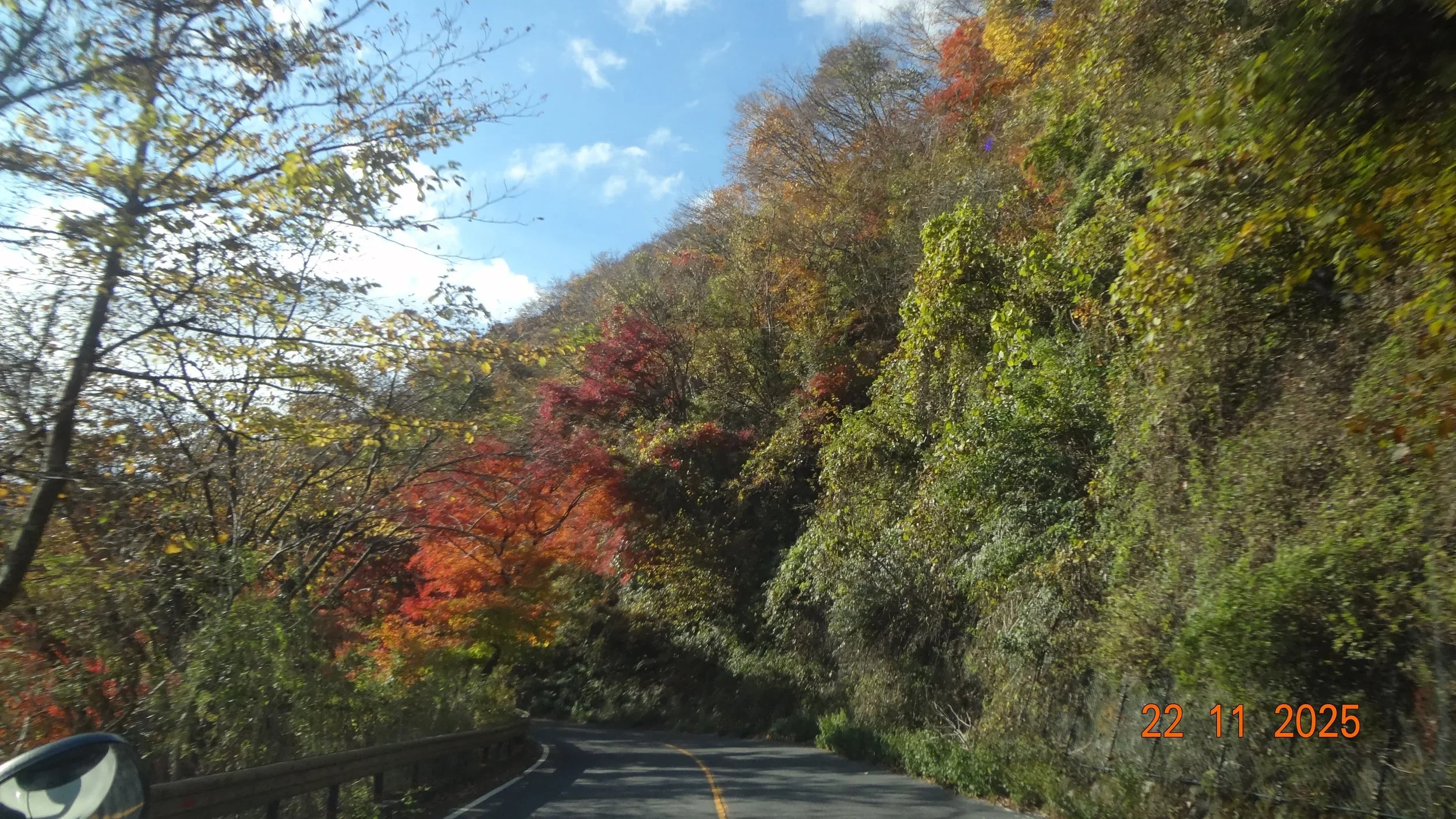 Tokyo to Hakone: An easy, fun day trip with a private car