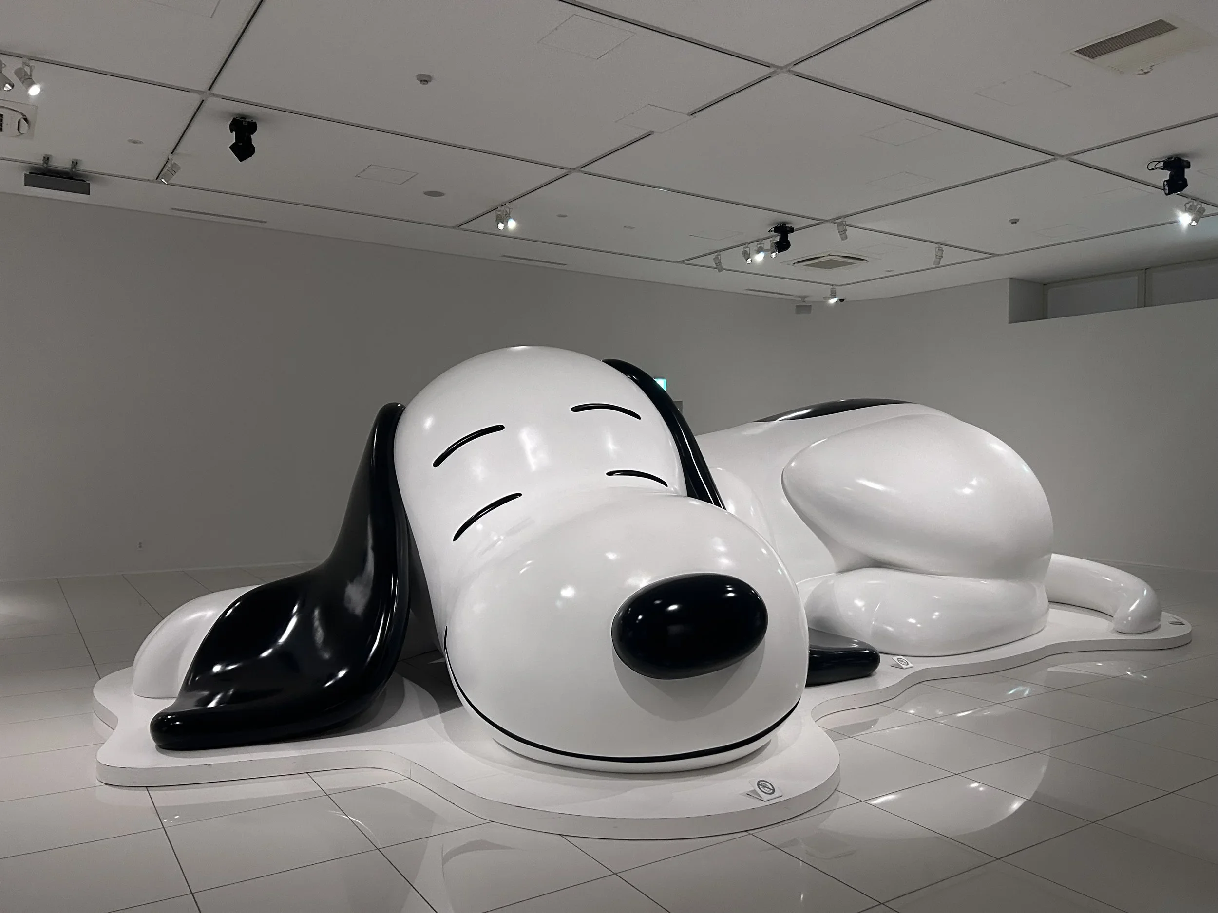 Is it Easy to Navigate Japanese Character Museums as a Neurodivergent Traveler?
