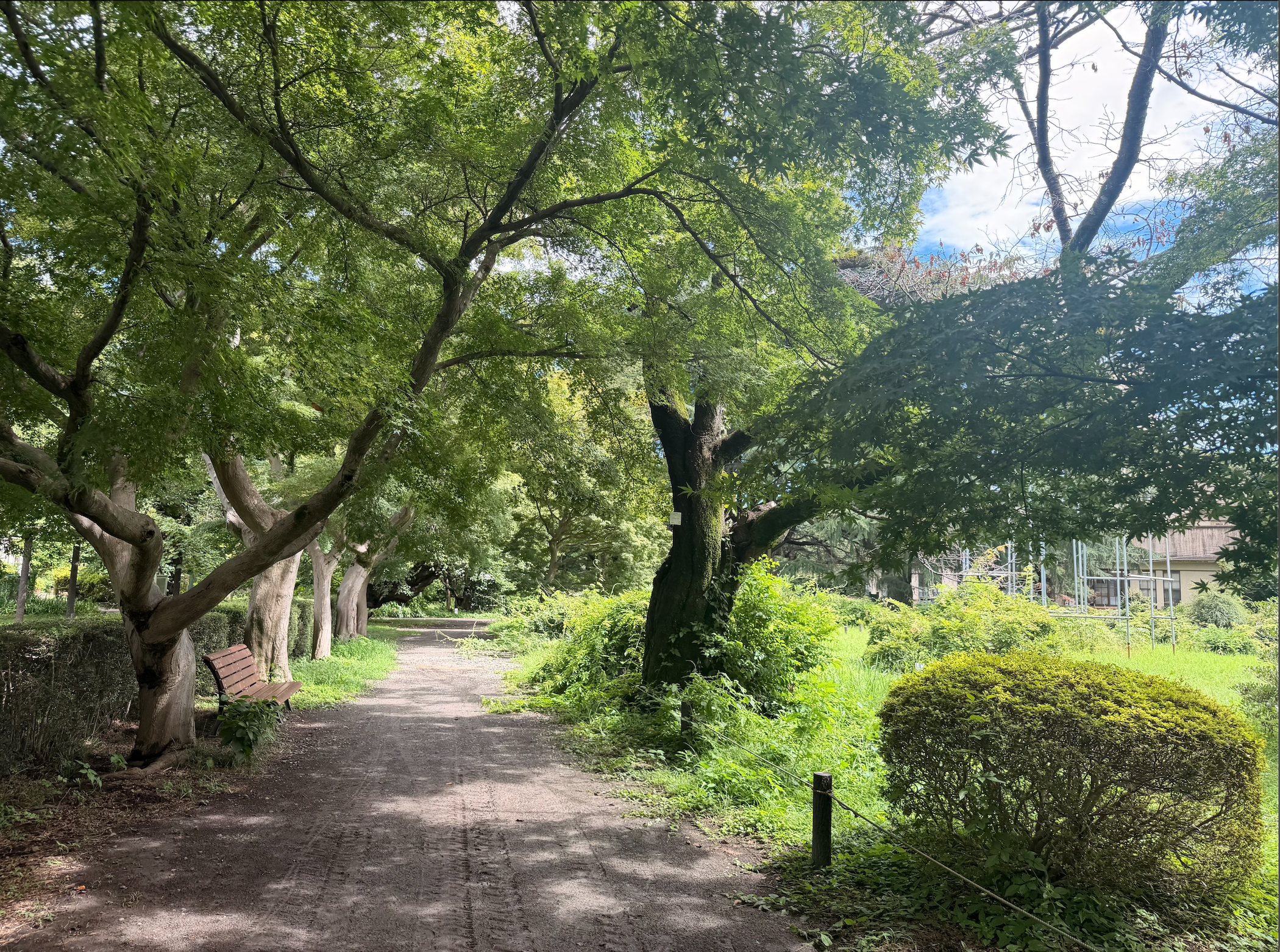 The Perfect Burnout Remedy for Busy Professionals: Slow Travel in Japan