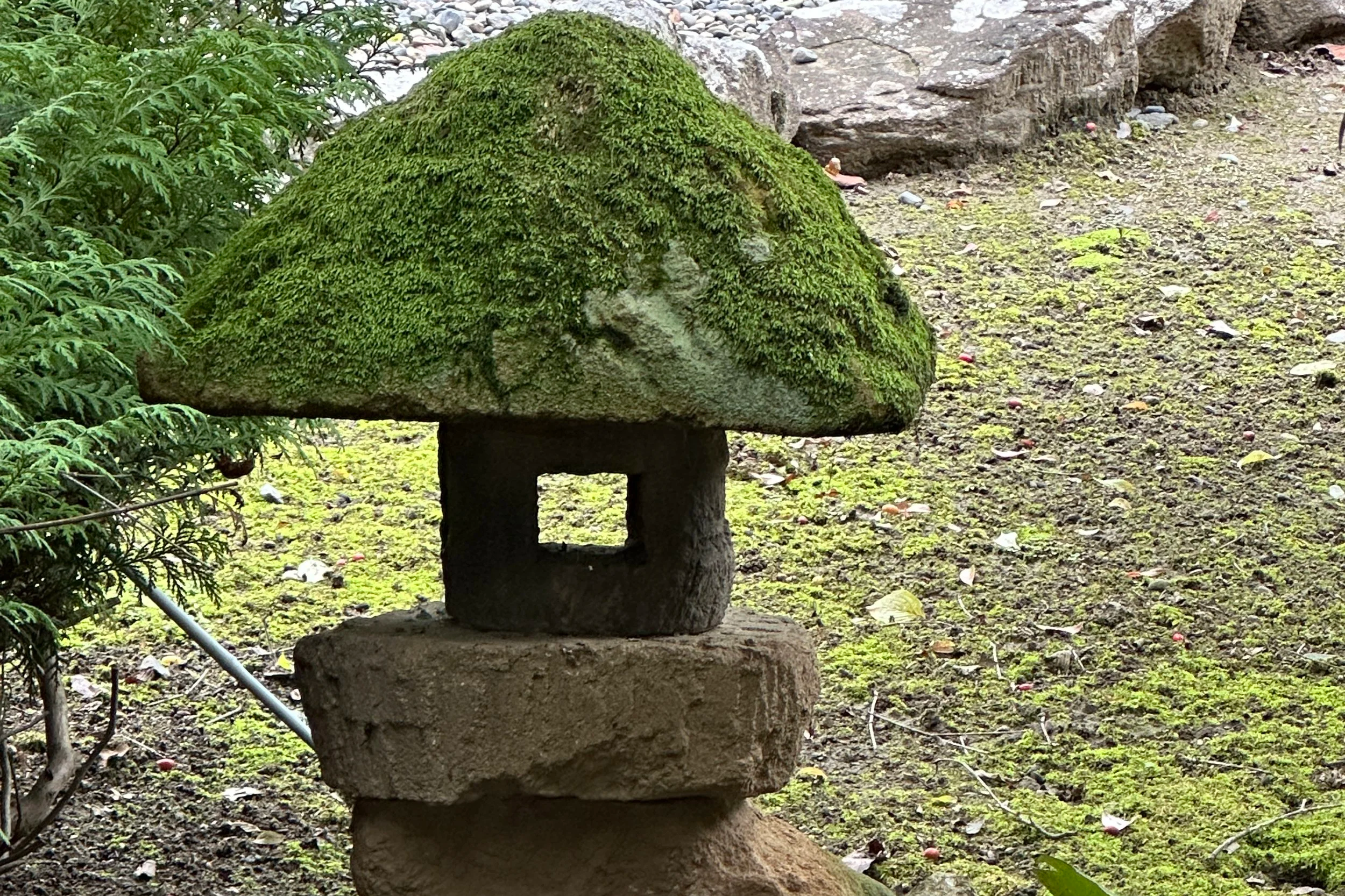 Why Japan Is the Perfect Destination for Educational Trips and Service Learning