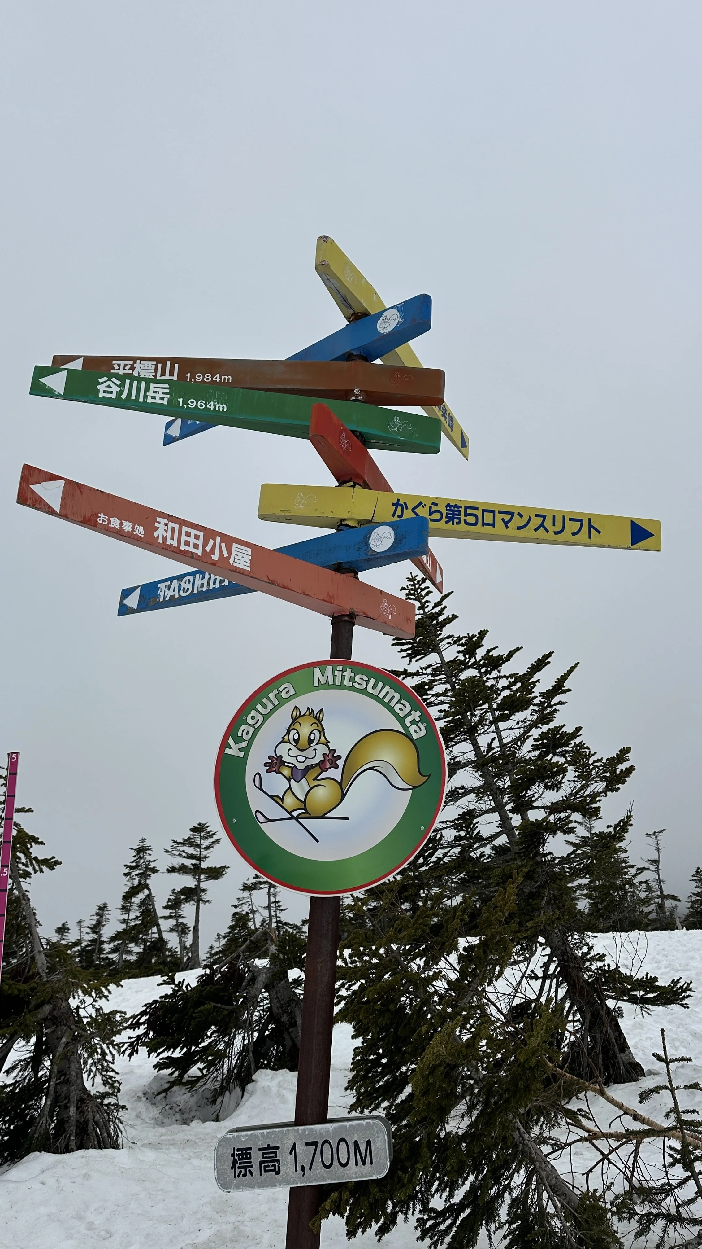 Snow Forecast Japan — Why 2025 Is the Perfect Season for Powder Hunters