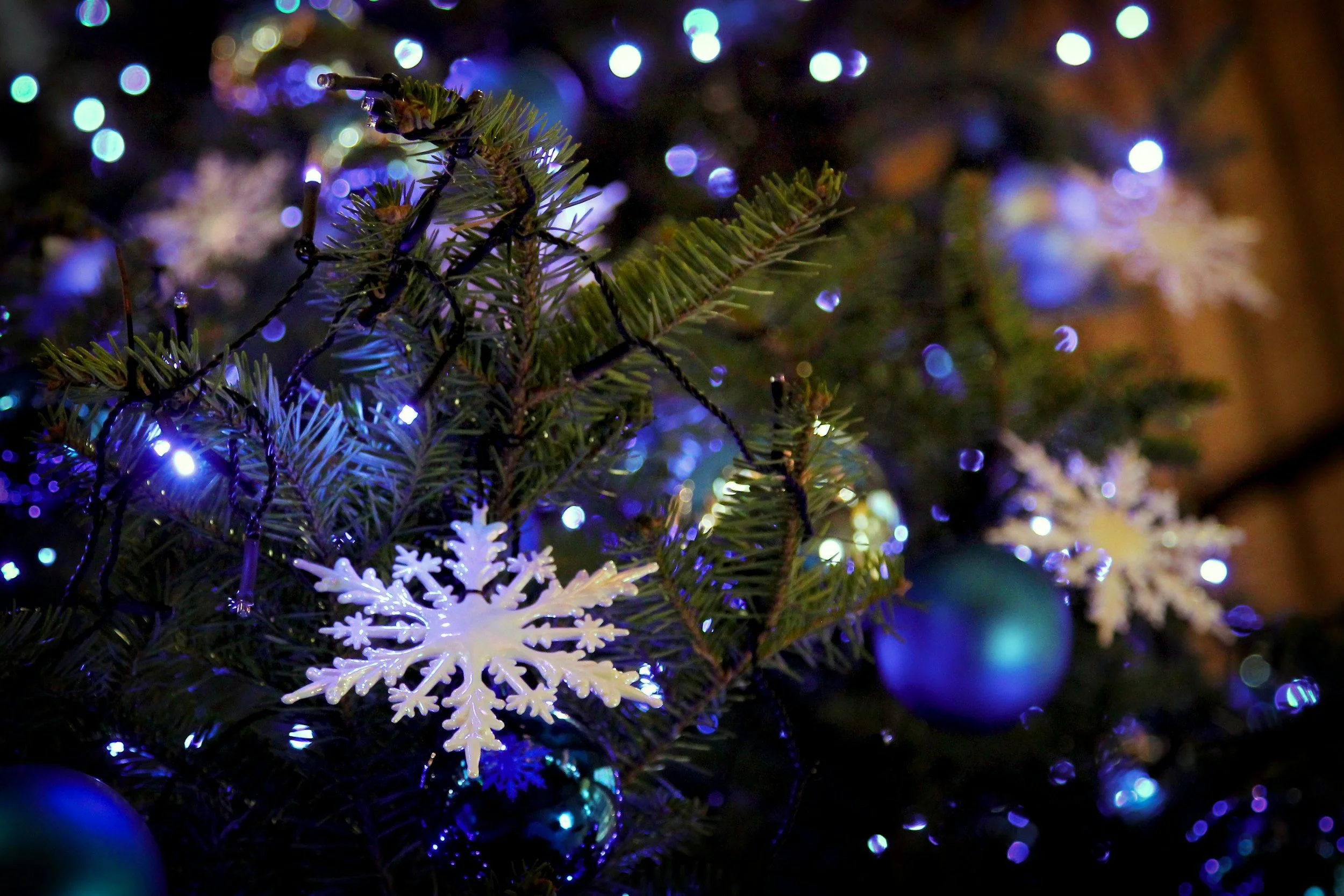 Christmas Food in Japan: 10 Winter Dishes To Try