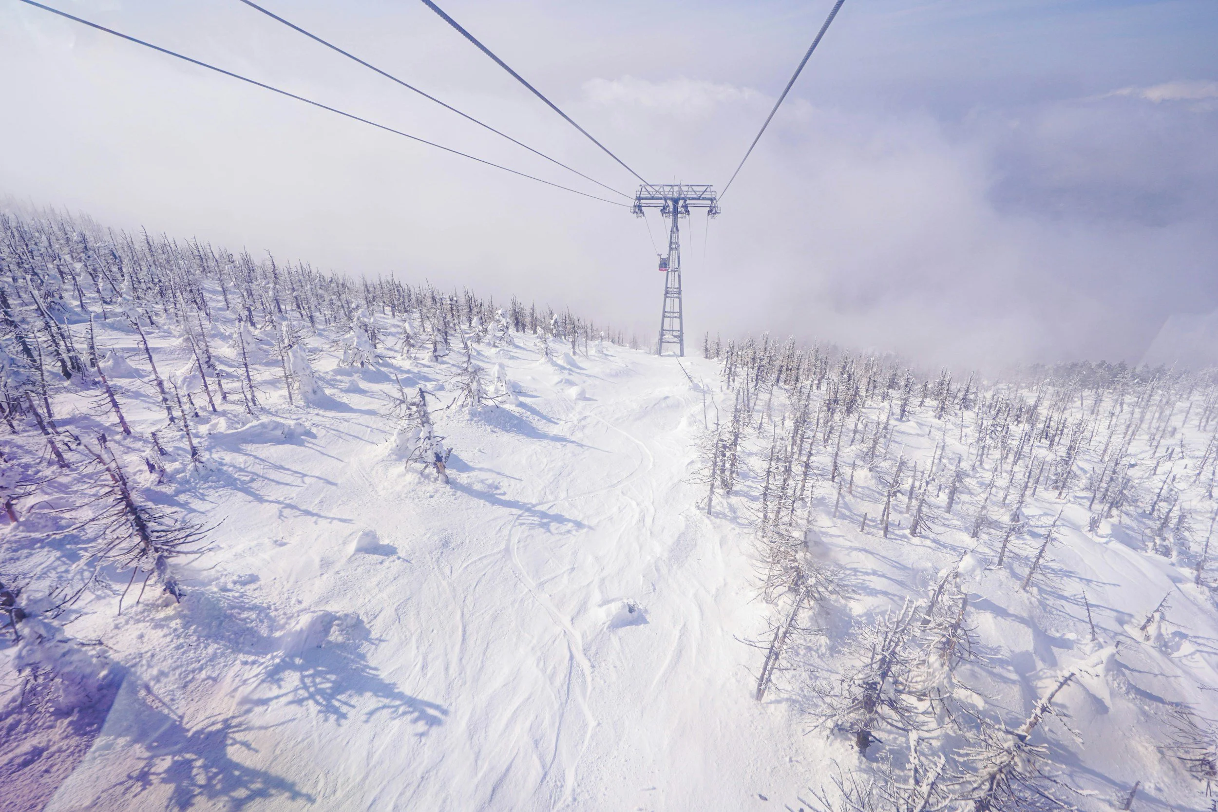 Planning Your Dream Japan Ski Season