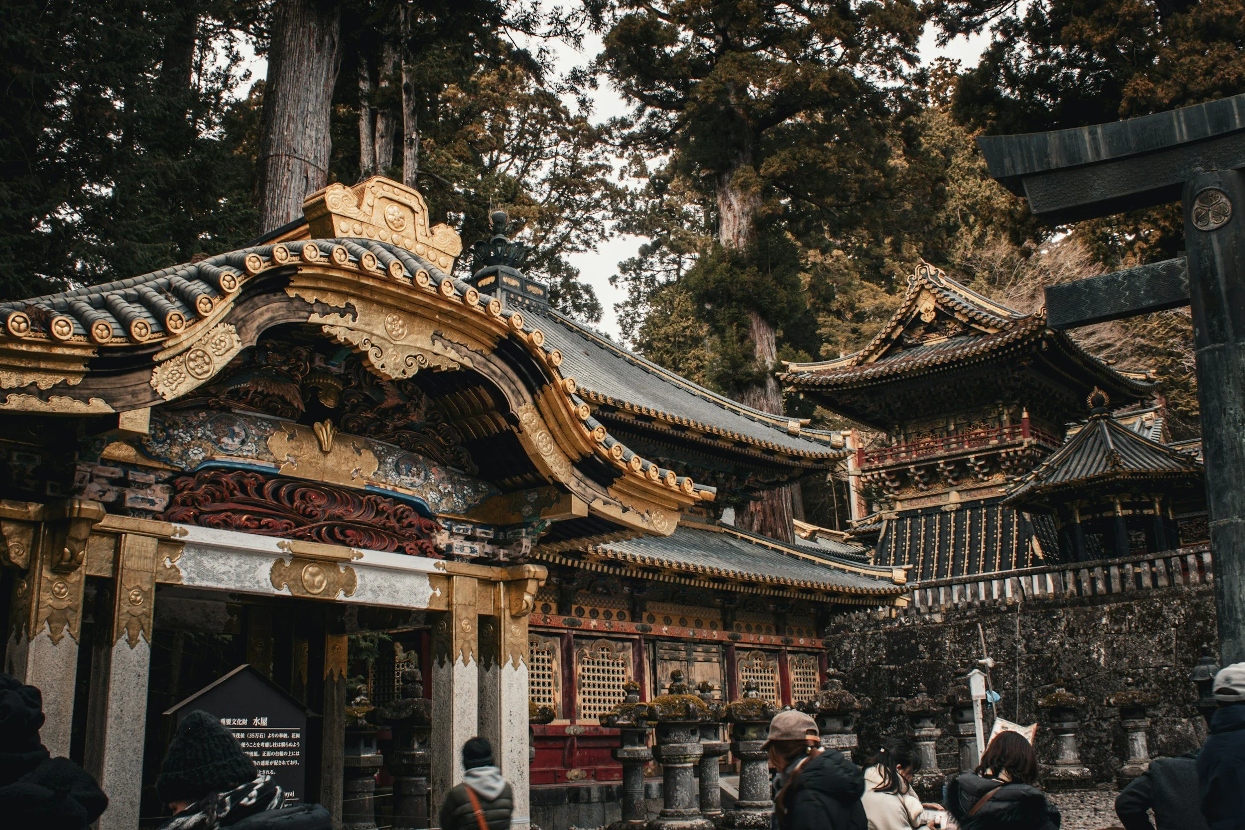 Best of Nikko, Aizu Wakamatsu, Ginzan Onsen, Tsuruoka and Niigata