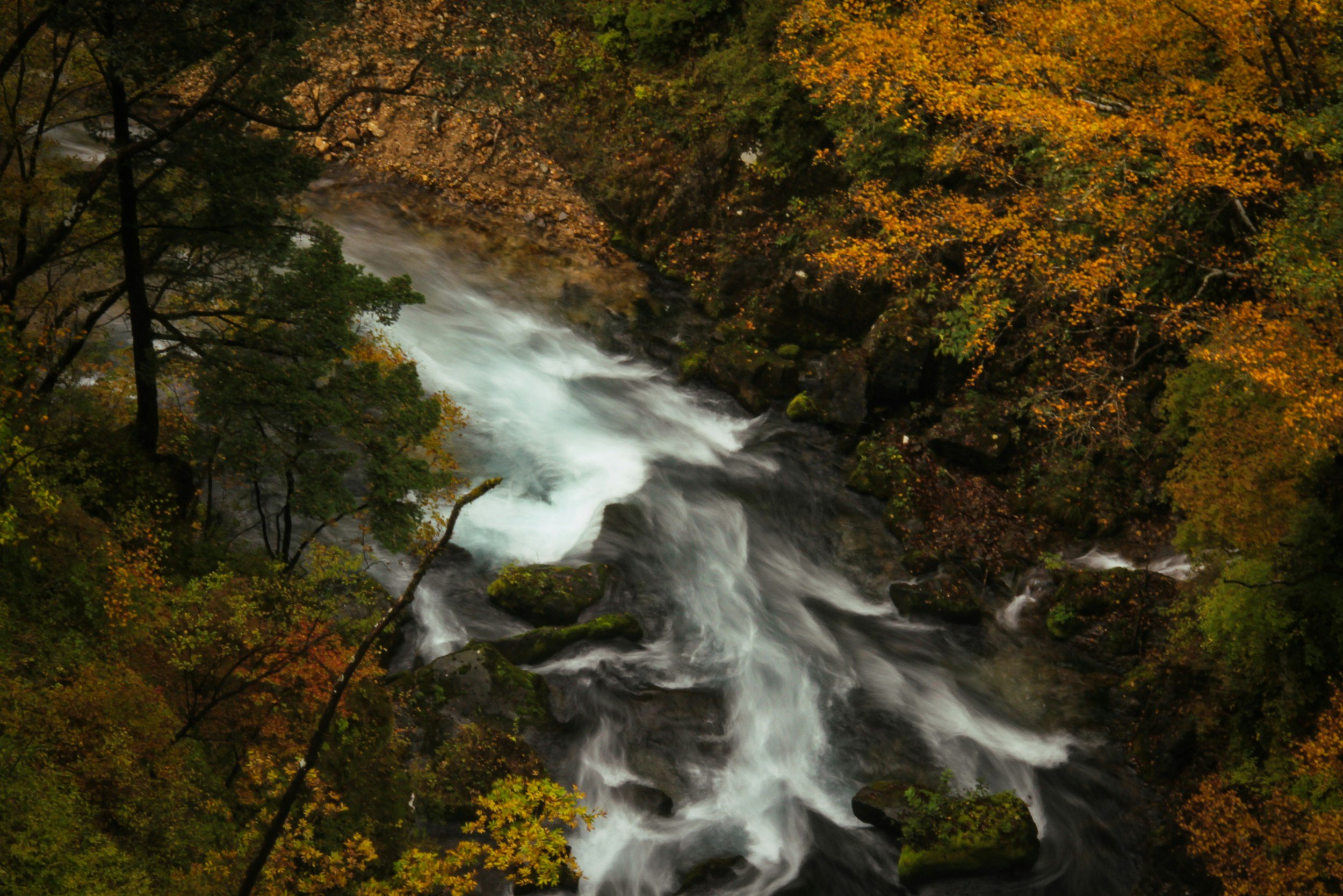 An unforgettable journey into the northern mountains and beyond: experience Nikko, Fukushima and Aomori in Autumn.