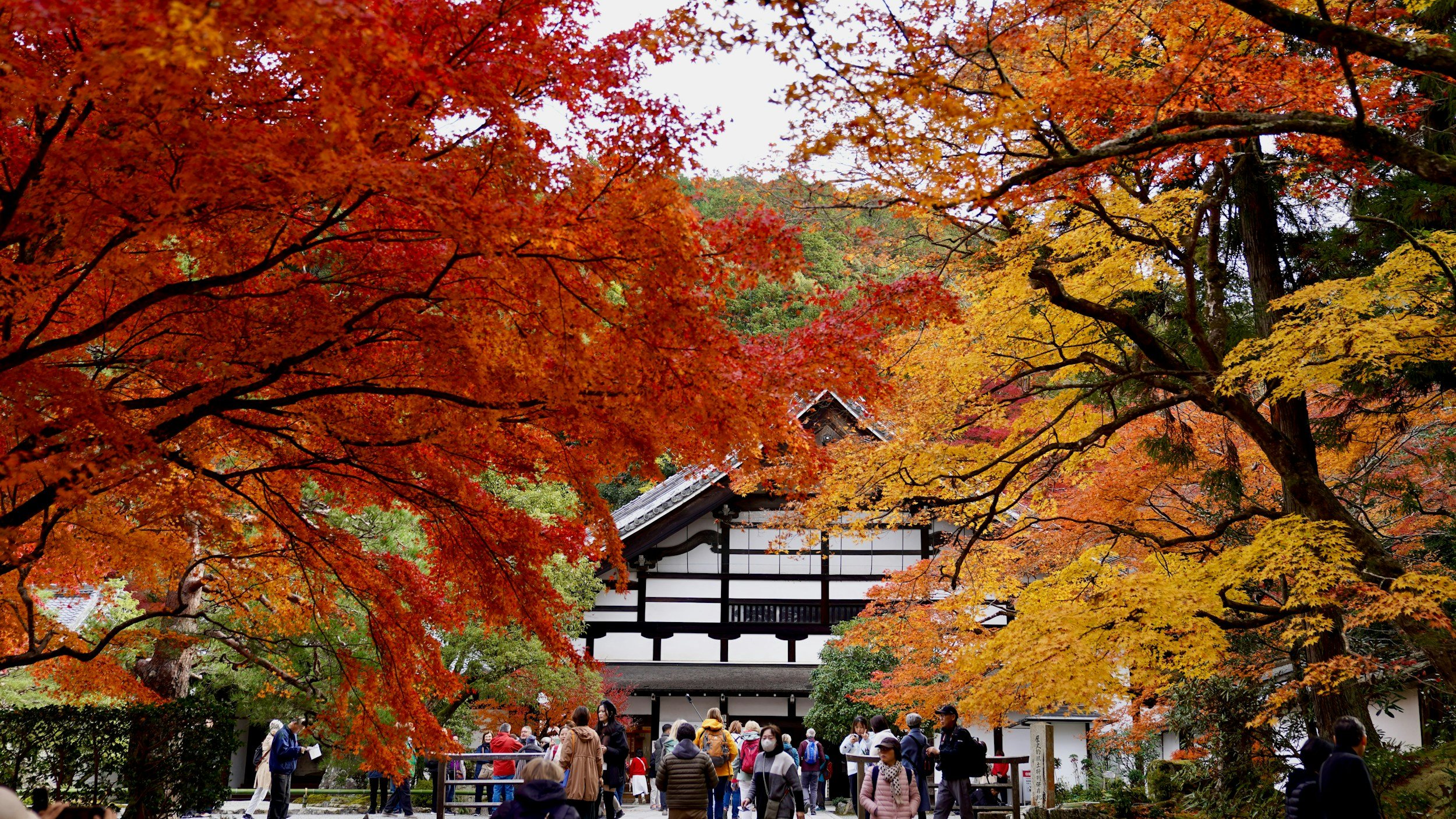 Fall destinations in Japan