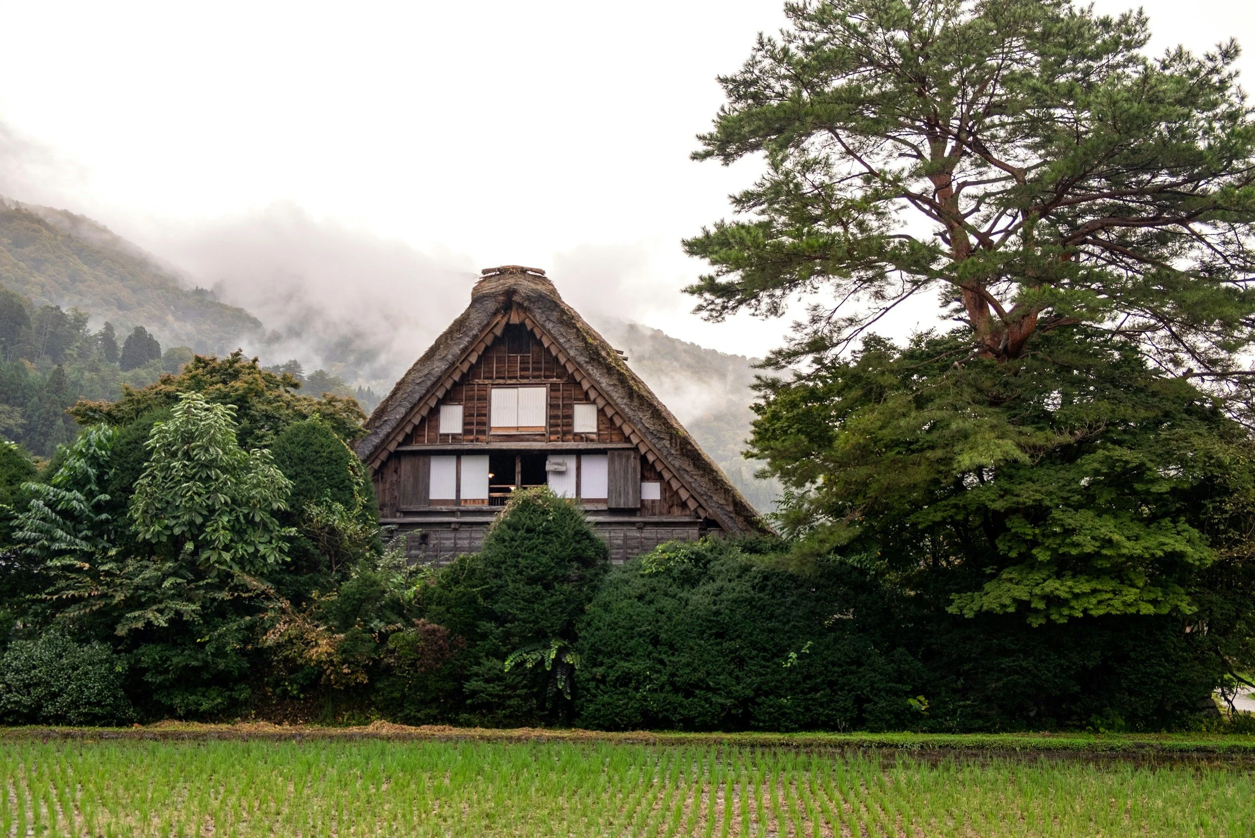 A traditional Japanese home for raising silk worms with a triangular thatched roof nestled in the mountains.