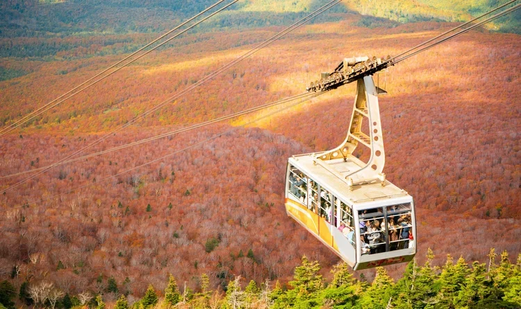 A ropeway carries a group of people up a mountain over  a mountain covered will fall colored trees. Hakkodasan Ropeway in Japan.