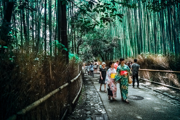 Tourists wearing cotton Yukatas walk through a Japanese bamboo forest in the shade.