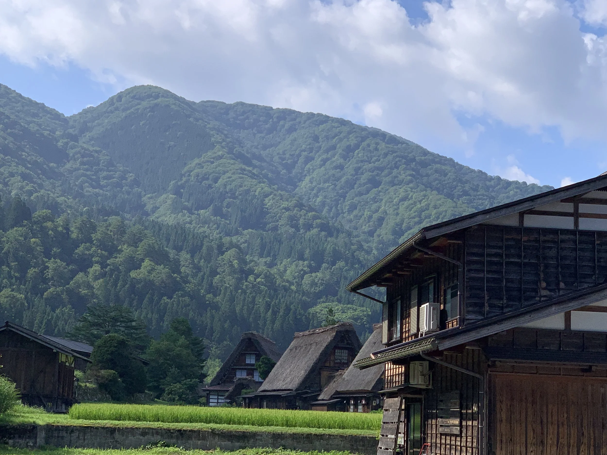 Japanese mountain village of Shirakawa known for its gasho style houses with thactched roofs and the history of raising silk worms.