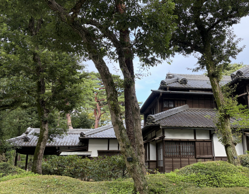 Japanese architecture with tiled roofs in a Japanese garden.